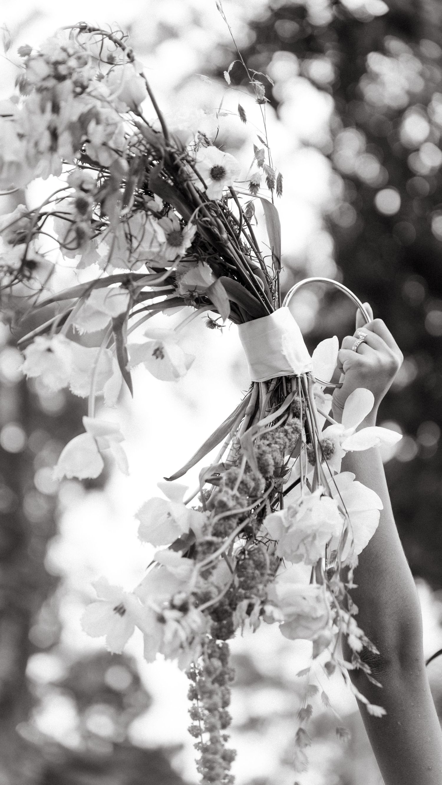 Black and white artistic photograph of delicate white wisteria flowers cascading down in soft bokeh light.