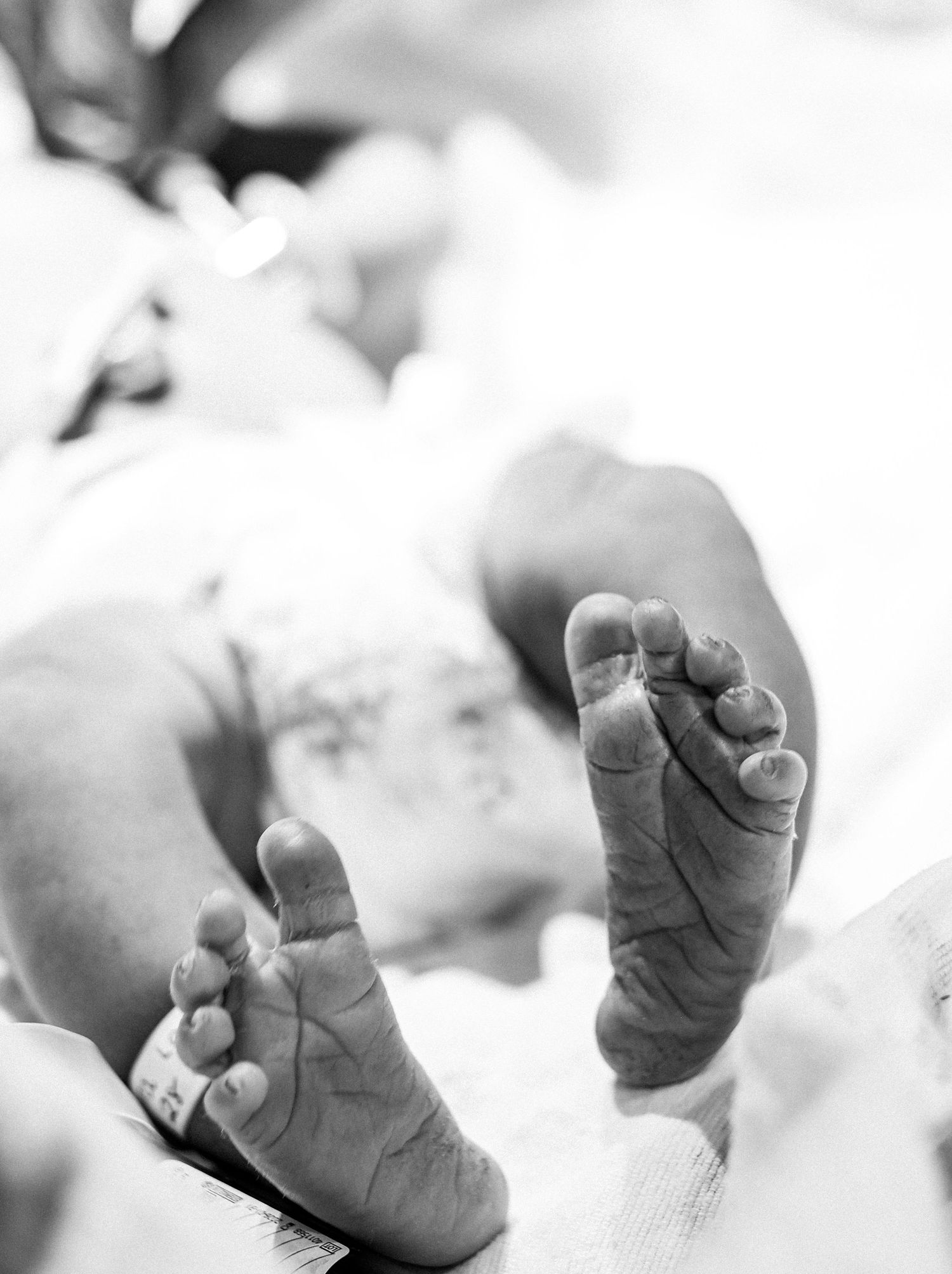Close-up black and white images of tiny baby feet and toes in soft focus.
