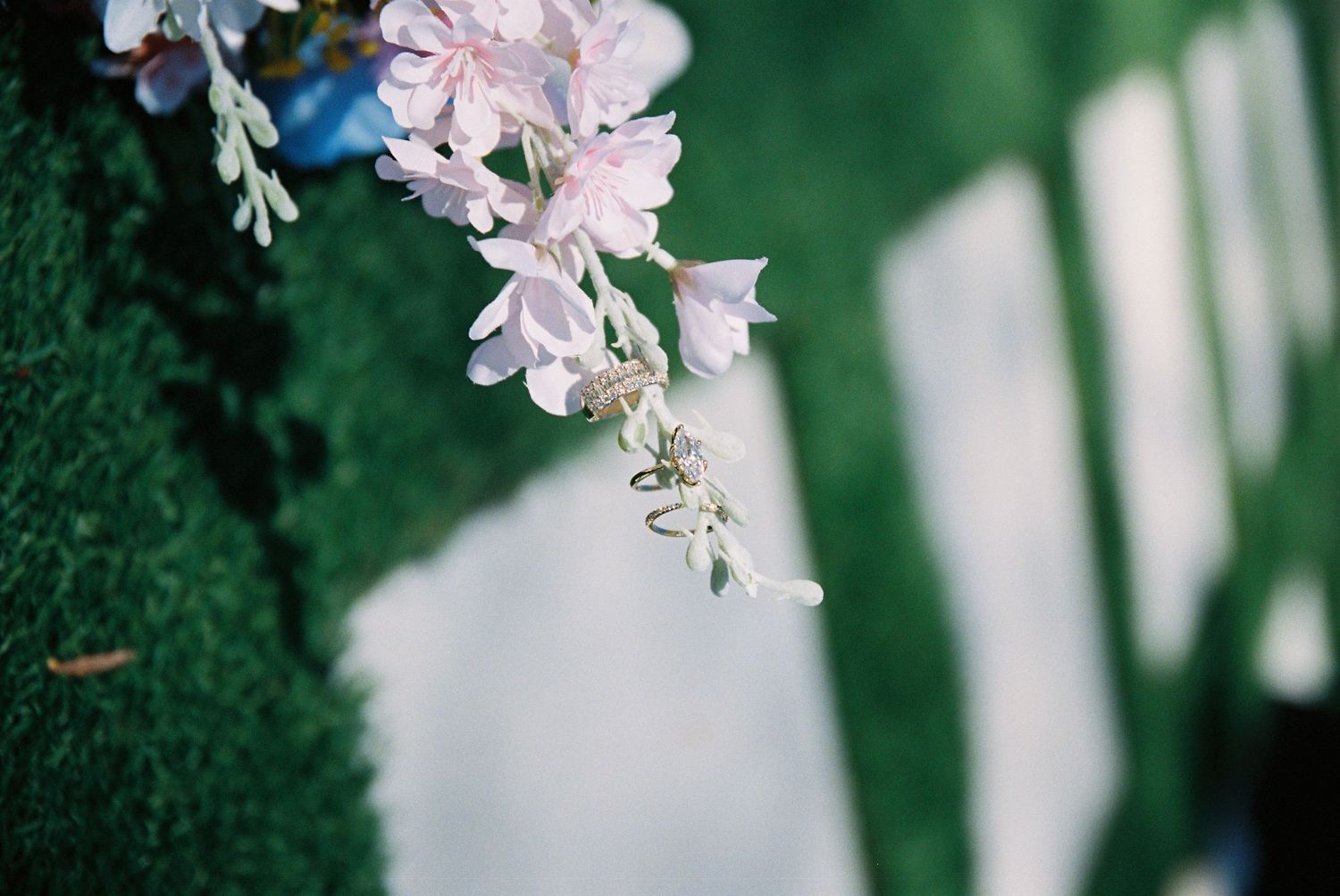 Pink flowers bloom delicately against a blurred green background with white fence elements in soft focus.