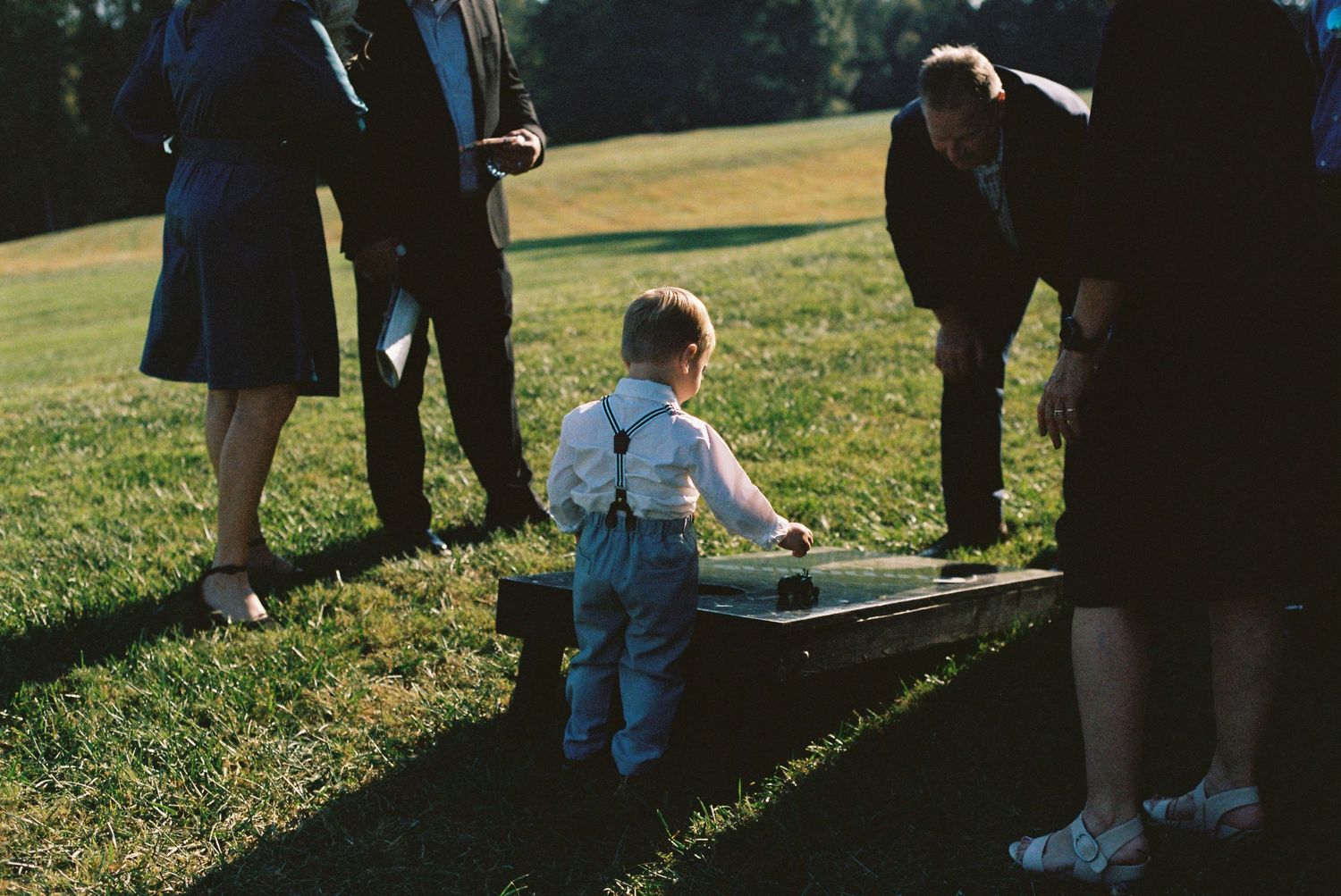 Wedding party and guests mingling on grassy hillside during outdoor celebration.