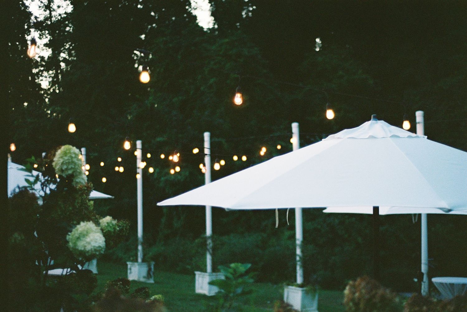 Outdoor evening reception setup with white canopy tents and string lights creating ambient atmosphere.