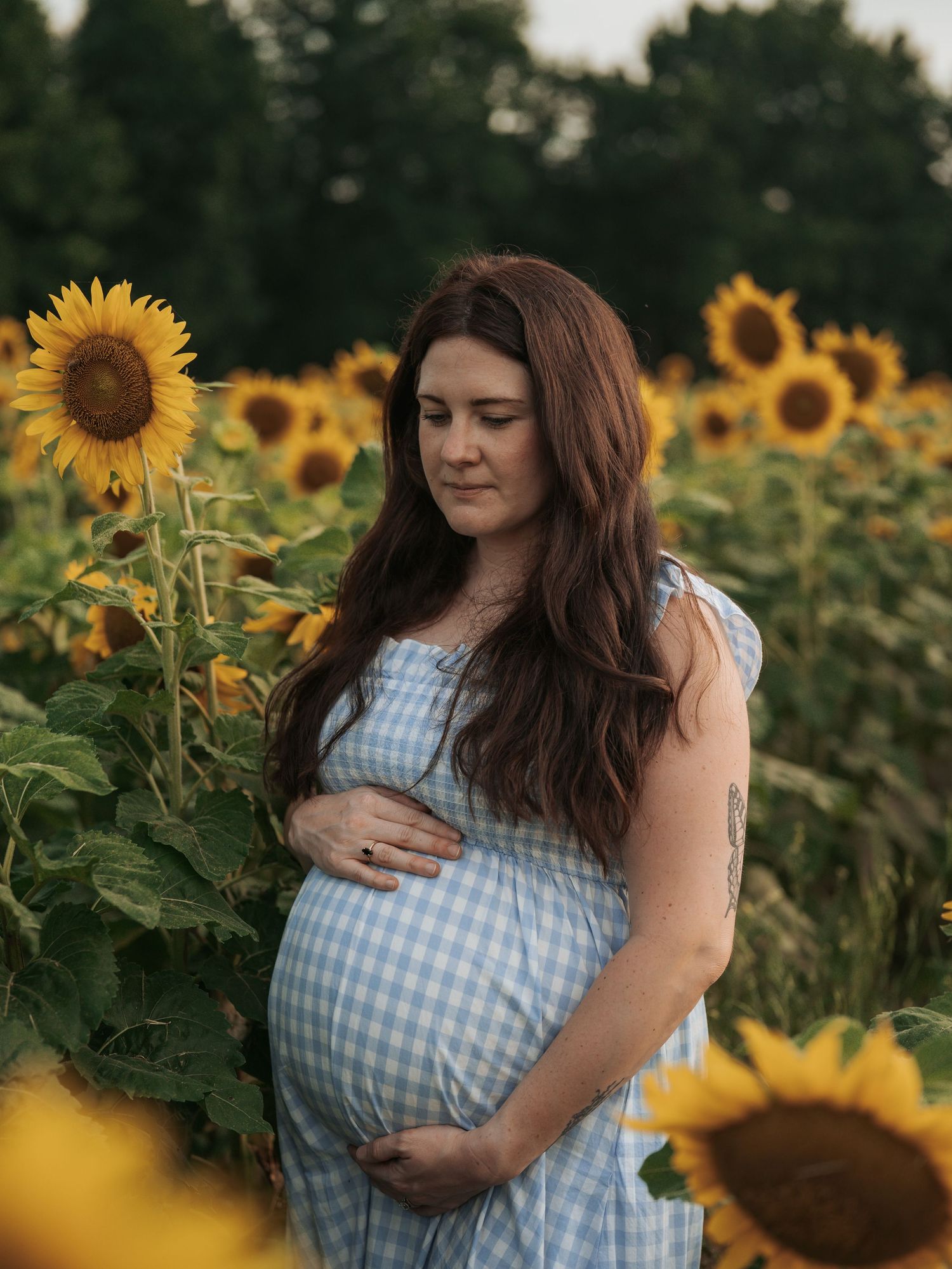 Woman in blue gingham dress poses in a vibrant sunflower field during golden hour.