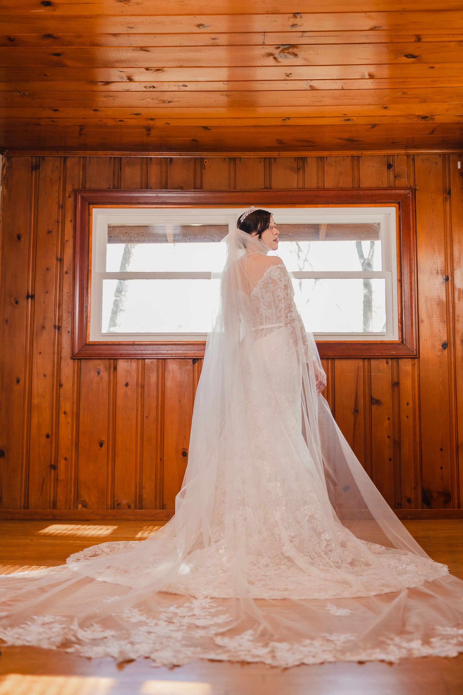 An elegant wedding dress with cathedral length veil and lace details shown from behind in a wood-paneled room.