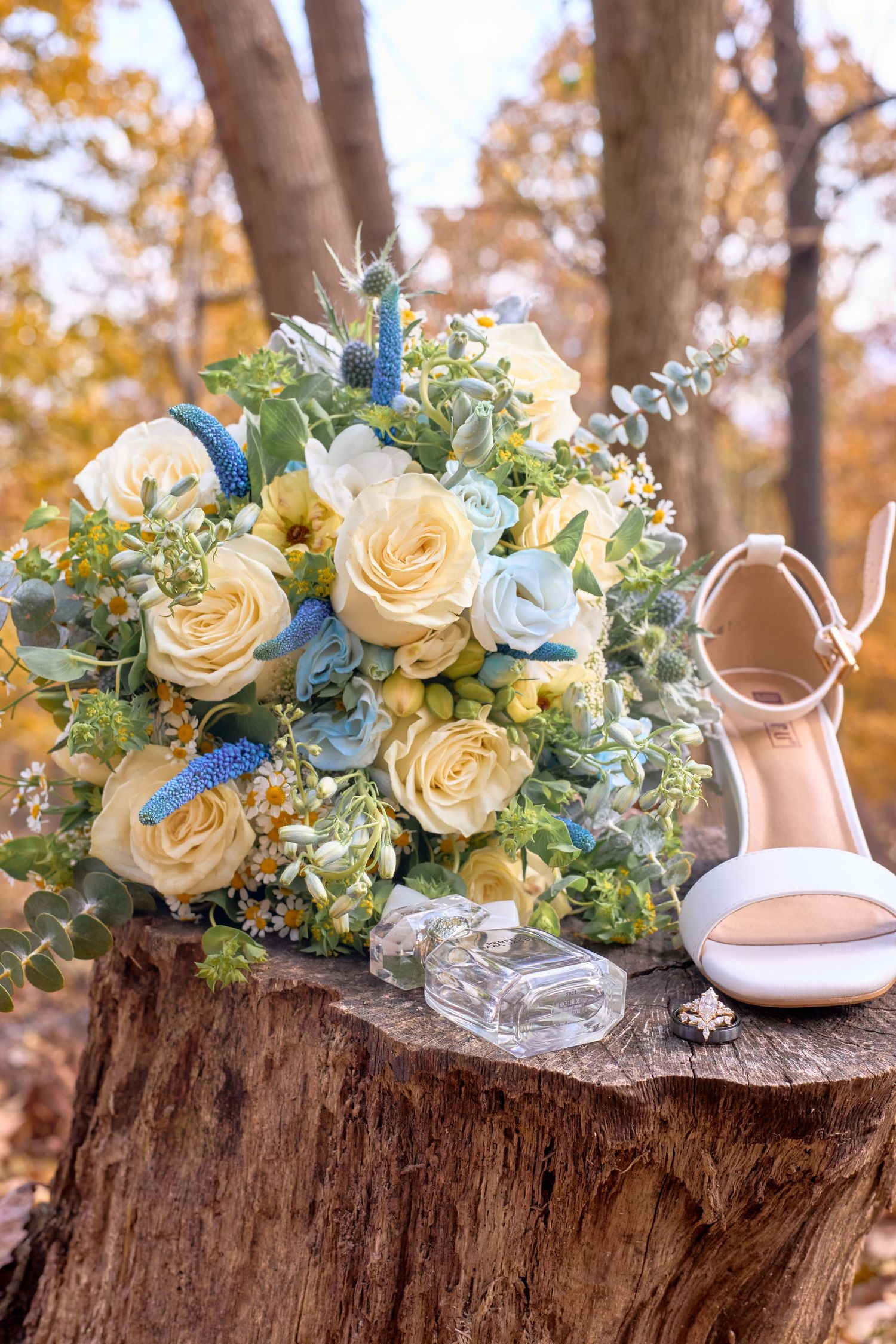 Wedding bouquet and shoes arranged on rustic tree stump featuring cream roses and blue accents.