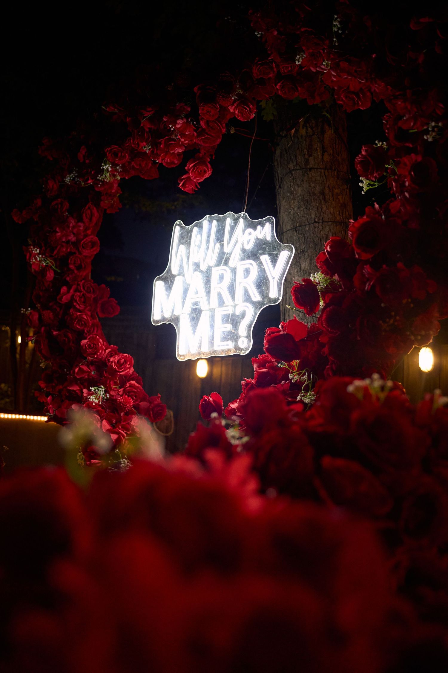 Neon 'Will You Marry Me' sign glows against dark background with red flowers in foreground creating romantic ambiance.