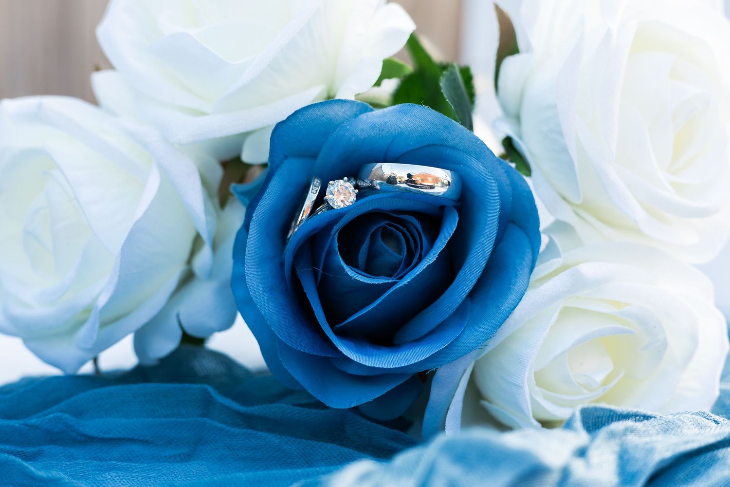 Blue and white roses arranged together creating an elegant wedding flower arrangement with contrasting colors.