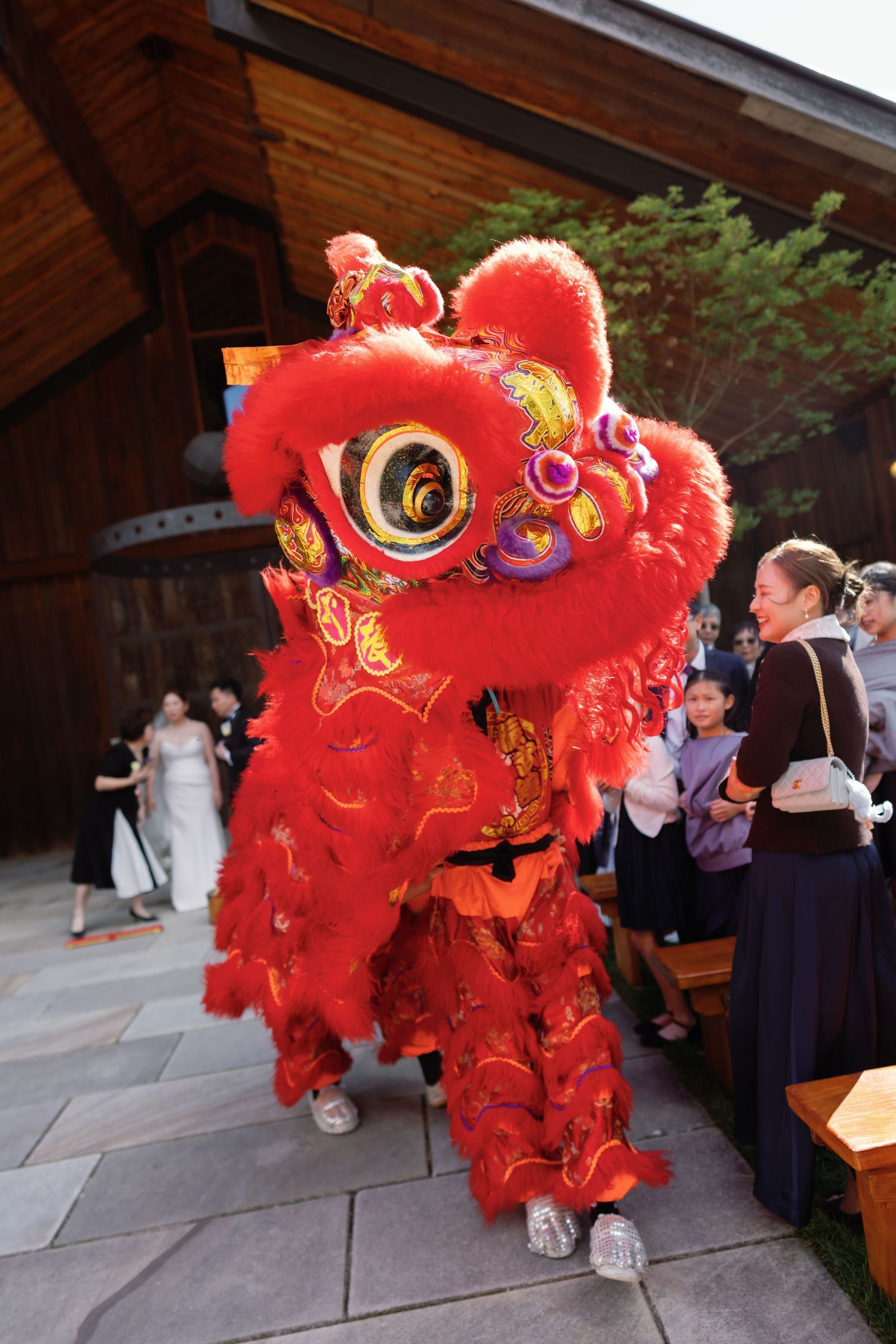 Traditional red Chinese lion dance performance entertains wedding guests outside venue.