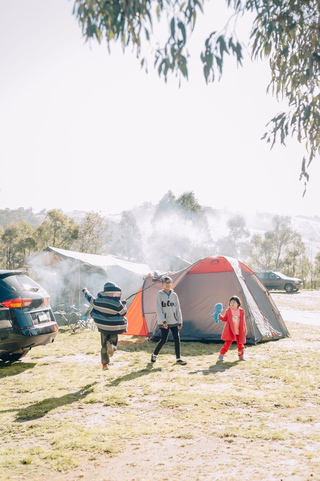 People enjoying a camping trip with tents set up in a grassy area on a misty morning beneath eucalyptus trees.