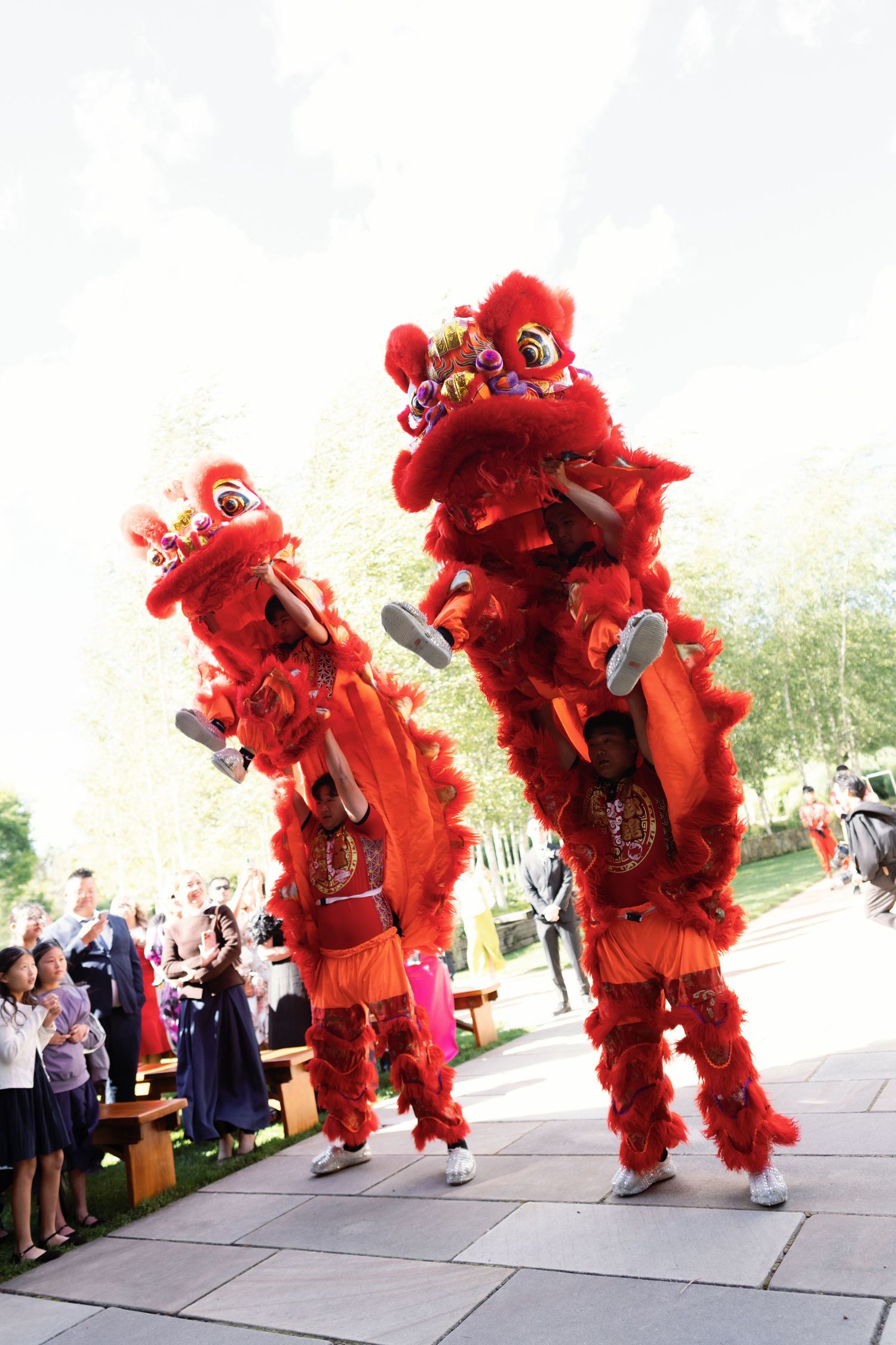 Traditional red Chinese lion dancers perform at an outdoor wedding celebration.