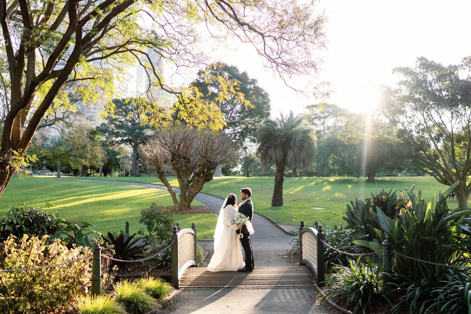 A scenic pathway in a park features blooming cherry blossoms and sunlight filtering through the trees on a spring day.