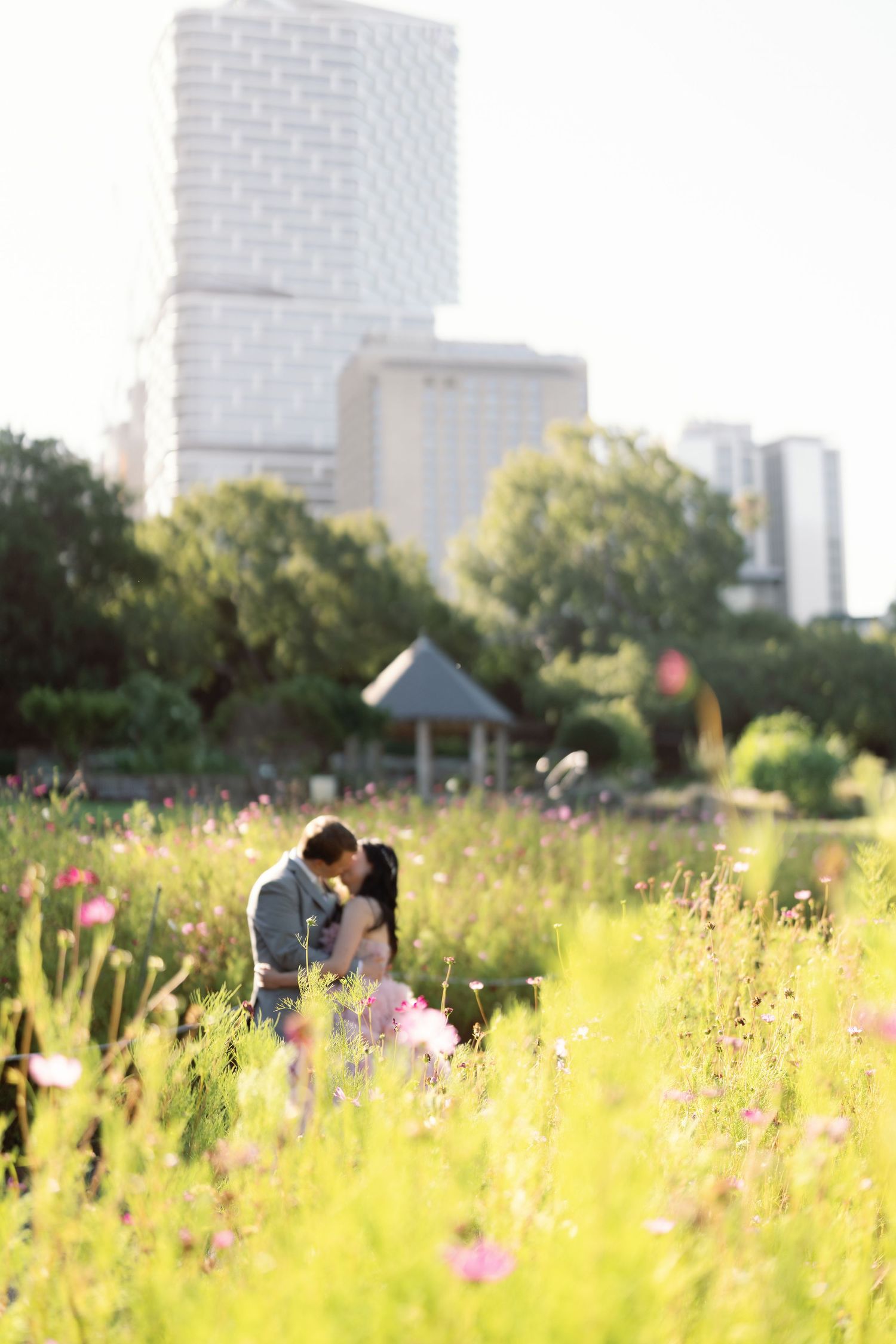 Couple embracing in a sunlit meadow with city buildings in the background.