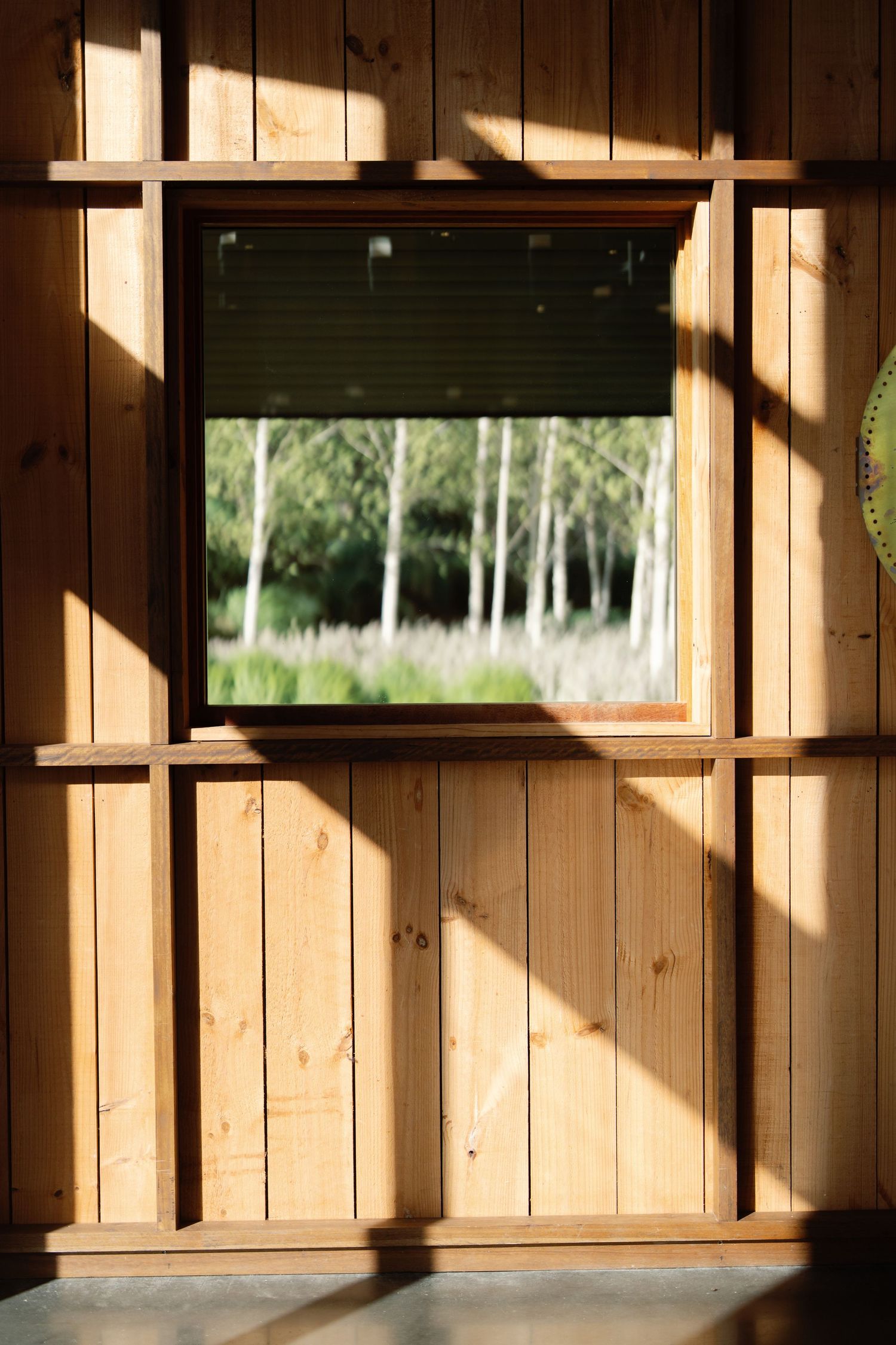 Sunlight streams through windows onto natural wood paneled walls in rustic interior.