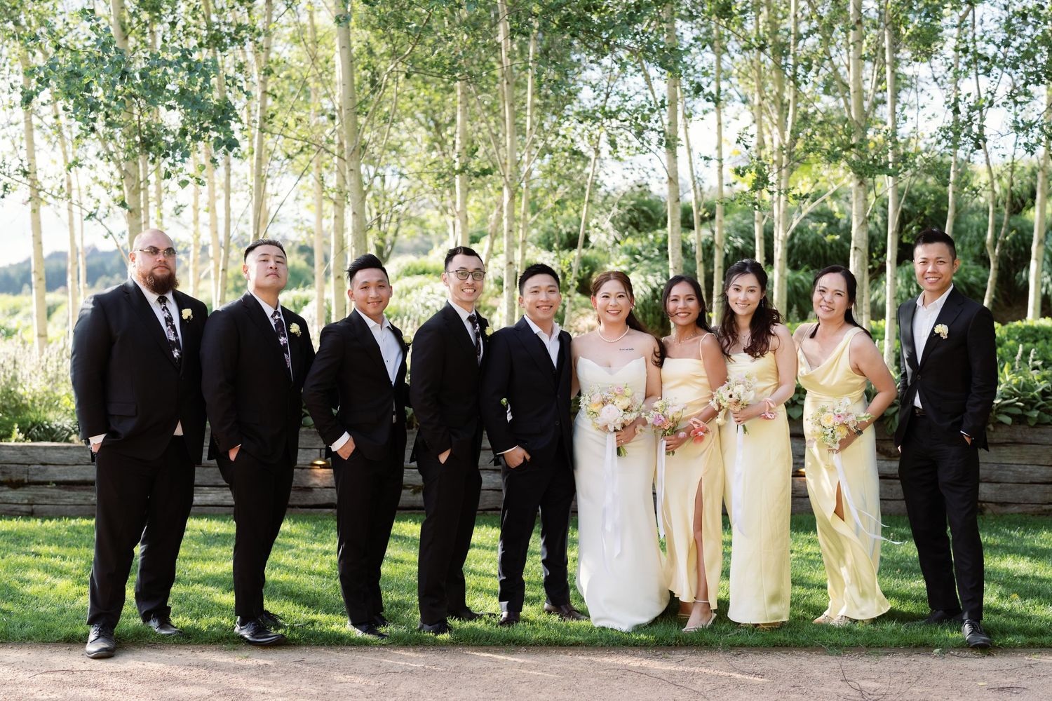 Wedding party poses in front of a row of birch trees with bridesmaids in champagne dresses.