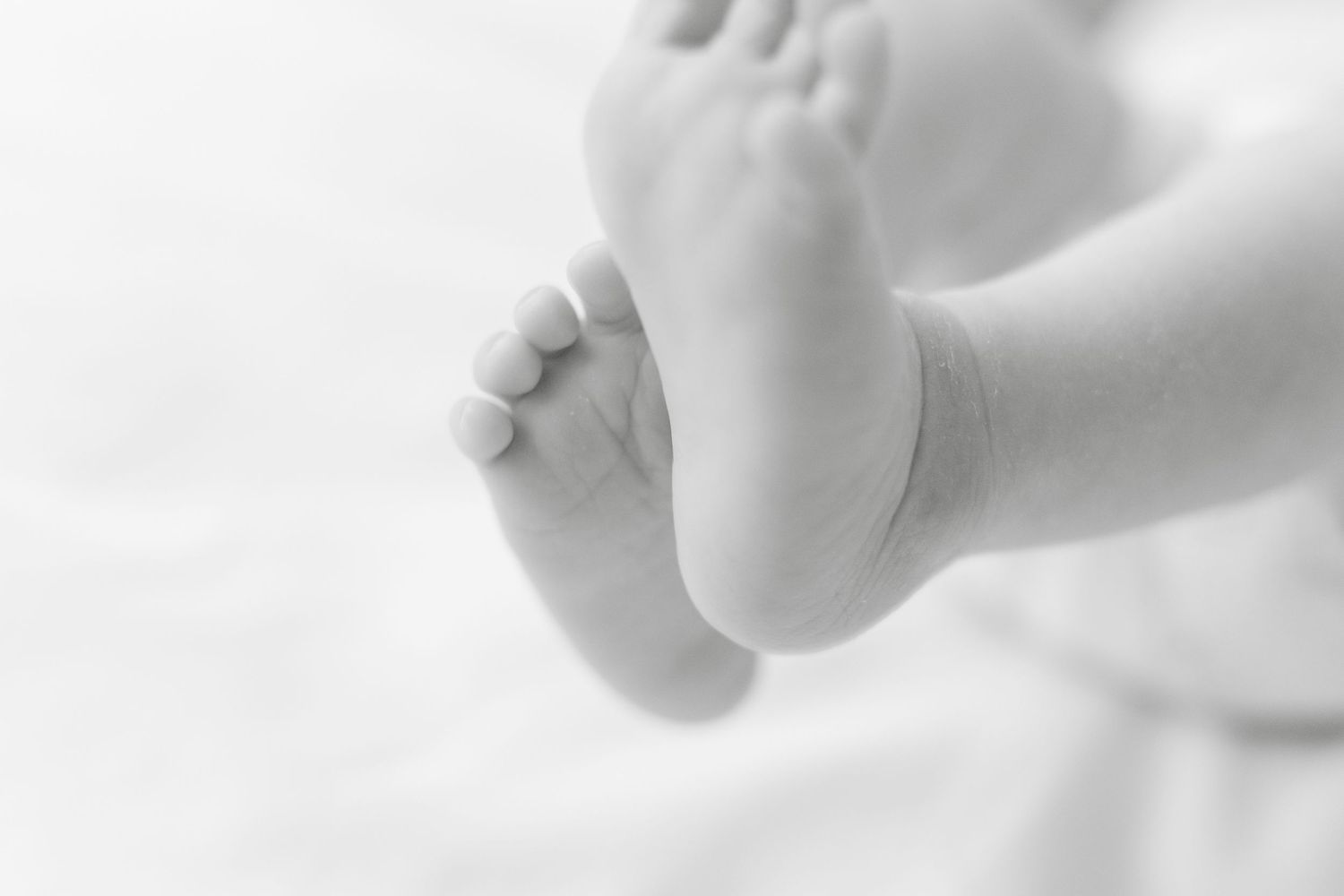 Gentle grasp of a baby's tiny hand on a soft white background.