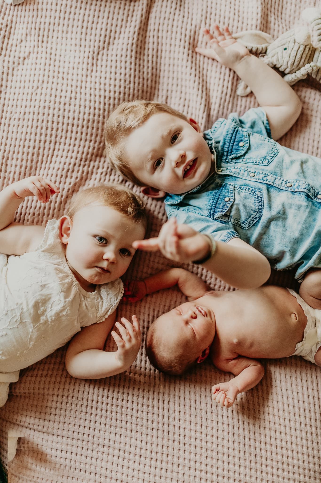 Nyfödd bebis ligger på en säng tillsammans med sina syson under en nyföddfotografering hemma, men Fotograf Veronica Eng Mullsjö & Jönköping.
