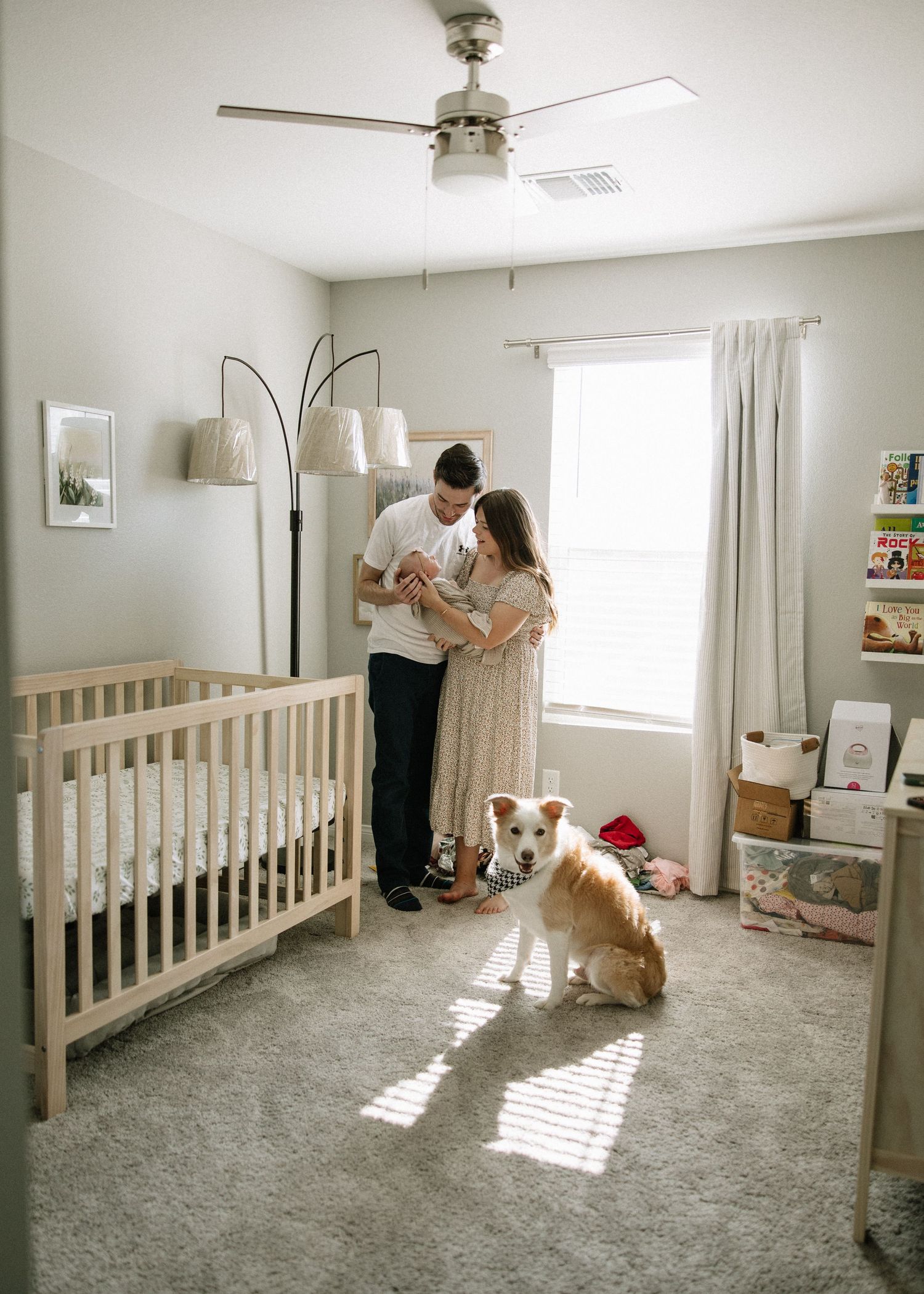 A nursery room with a wooden crib, floor lamp, and dog sitting in sunlight streaming through the window.