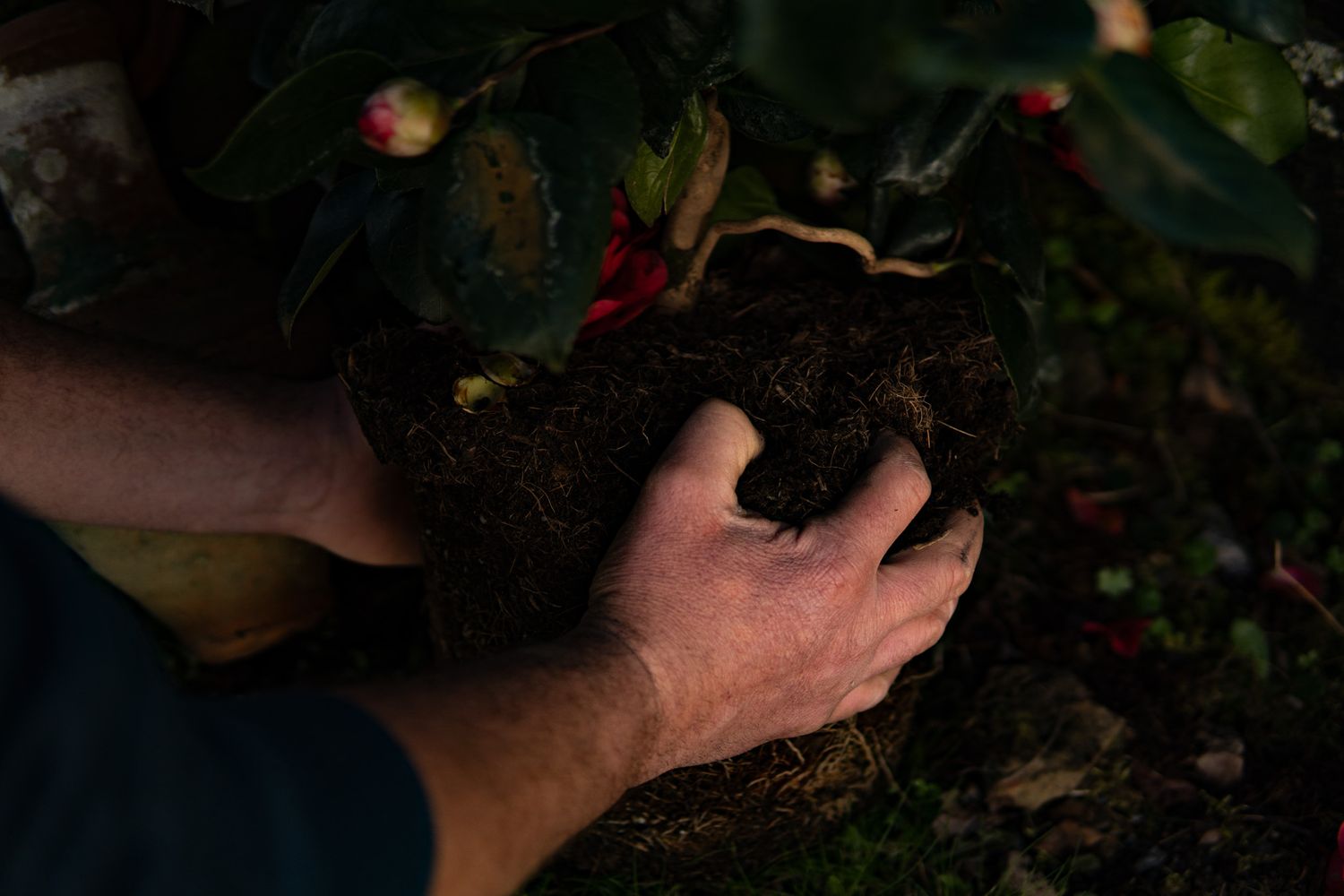 plan sur les mains, sur le travail, sur les gestes, le savoir. Chacun son mériter, mettre en avant ses prestations. Terre, plantes