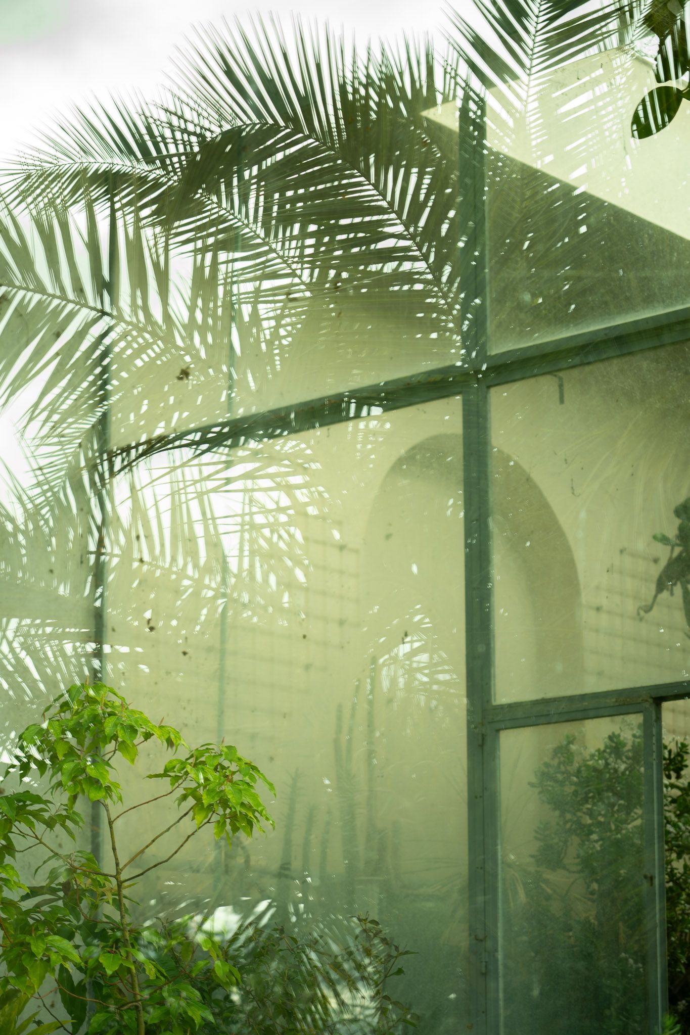 l'Orangerie du Thabor à Rennes. Au détour d'une balade au Parc du Thabor. Reflets, feuillages, transparences. Nature et Architecture.