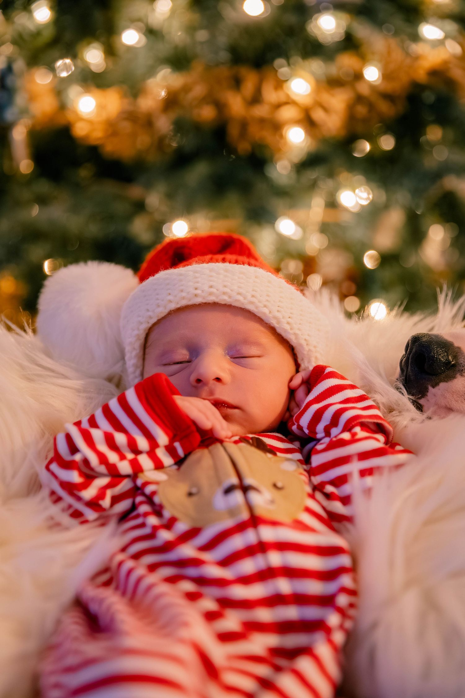Sleeping newborn baby in red striped Christmas pajamas and Santa hat near a glowing holiday tree.