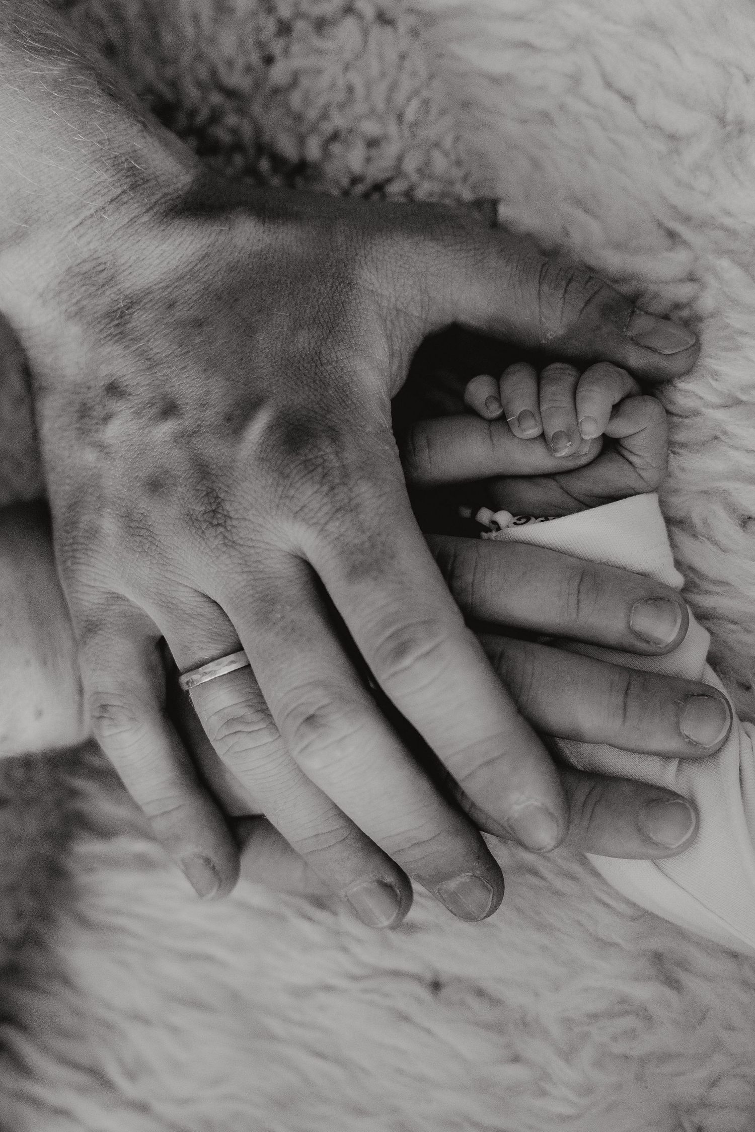 Newborn, Newbornbilder, Newbornfotografie, Newbornsession, Newbornfotos, Neugeborenen Fotografie, Neugeborenen Fotos, Neugeborenen Bilder