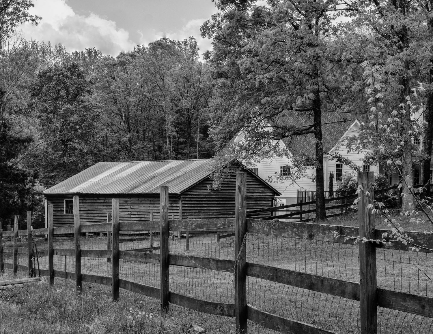 Rustic log cabin with wooden fence and outbuilding in a rural wooded setting captured in black and white photography.