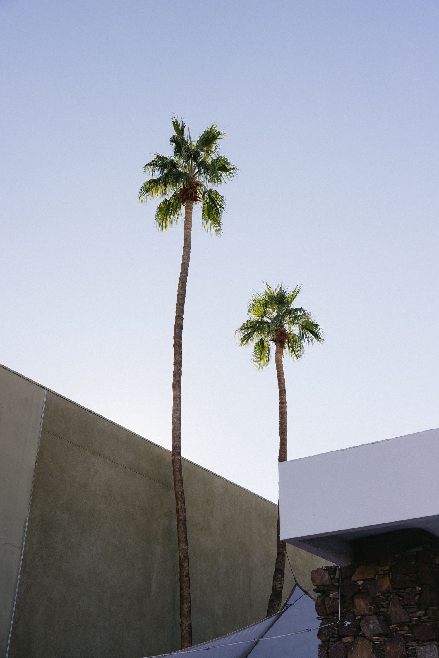 Two tall palm trees rise against a clear blue sky beside a modern building with clean geometric lines.