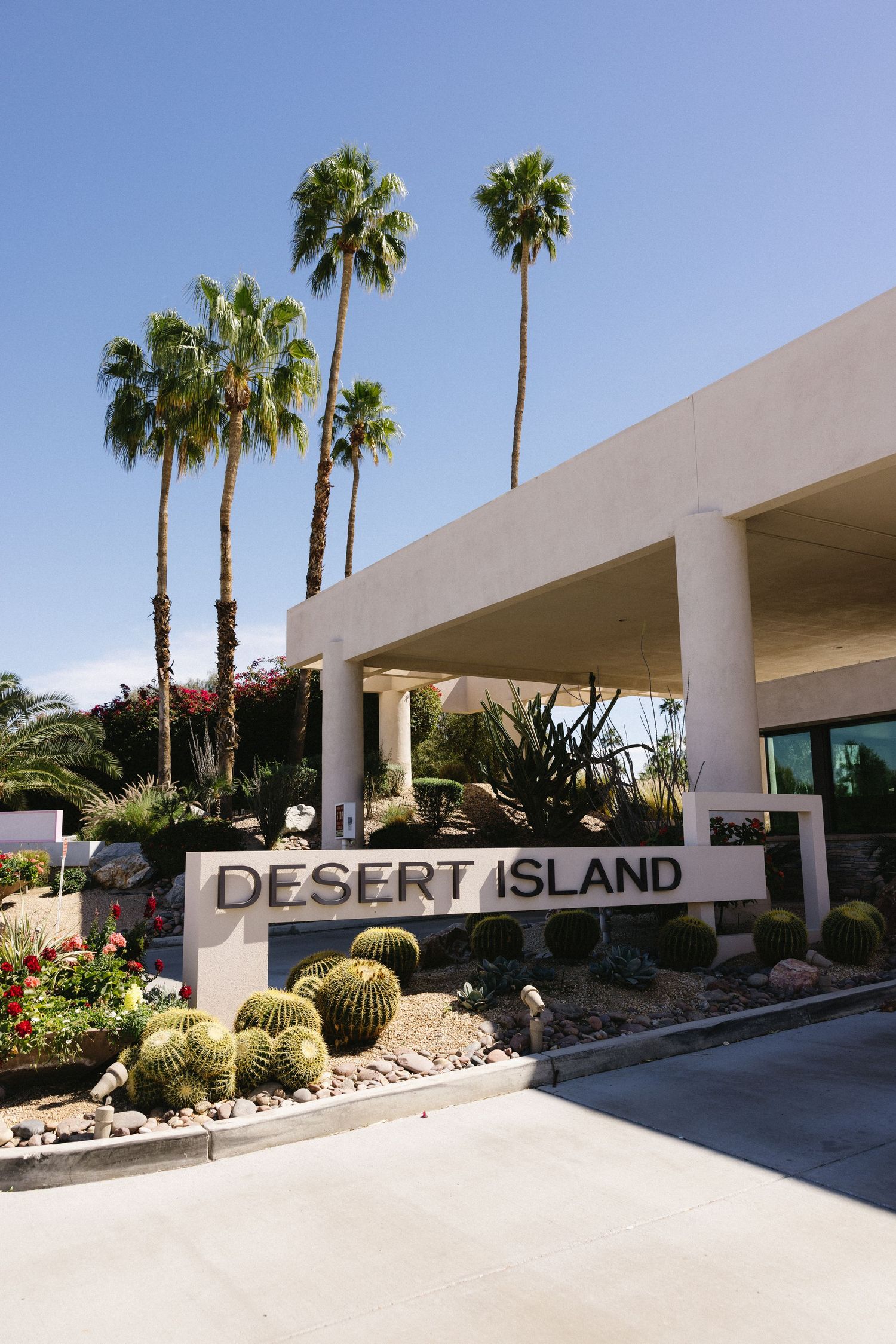Desert Island entrance sign with barrel cacti, colorful flowers, and tall palm trees against a clear blue sky in Palm Springs.