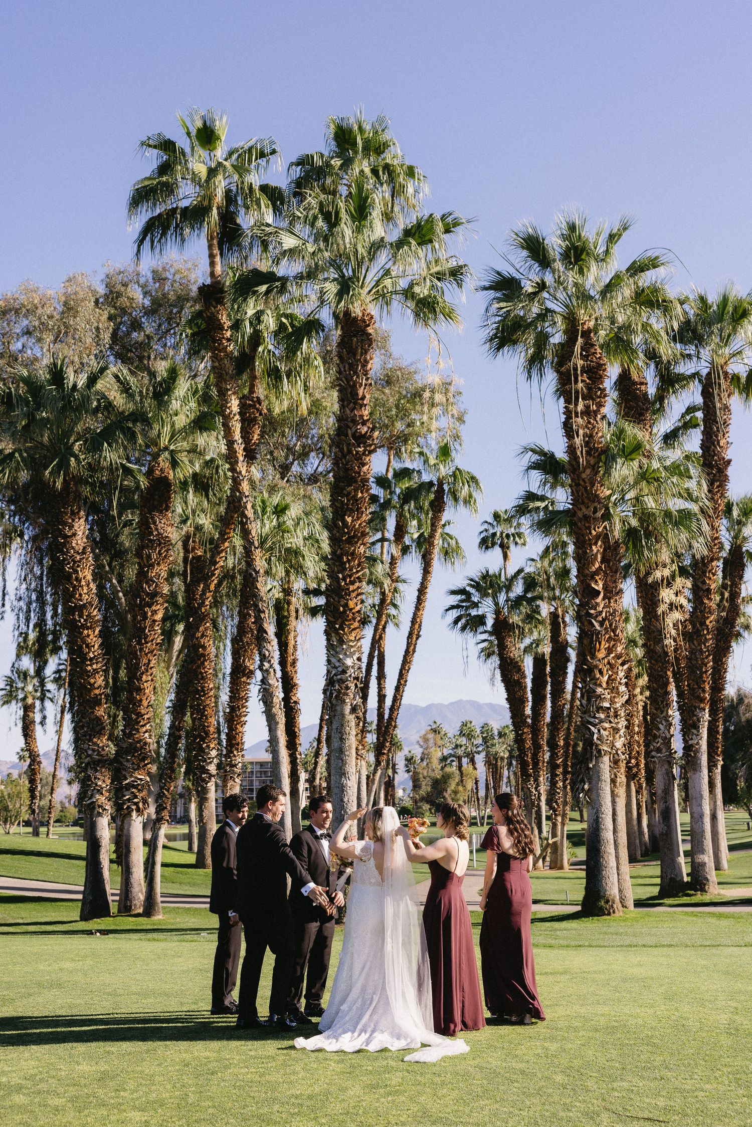 Wedding party poses on lush green lawn surrounded by tall palm trees under a clear blue sky.