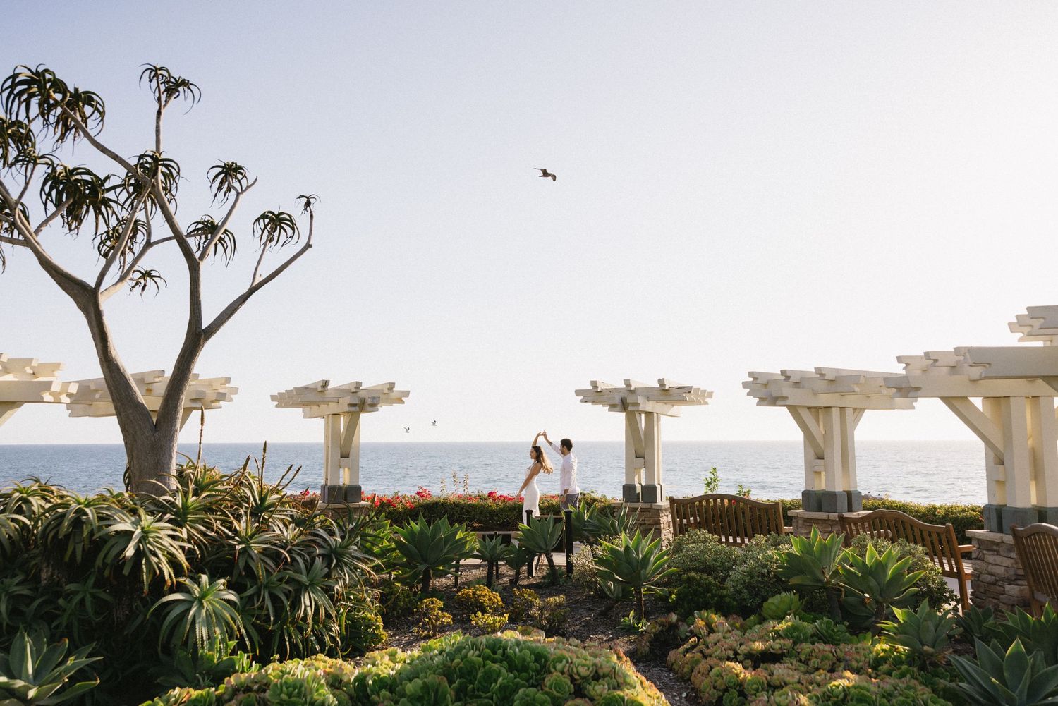 Scenic view of a coastal garden with palm trees and pergola overlooking the ocean.