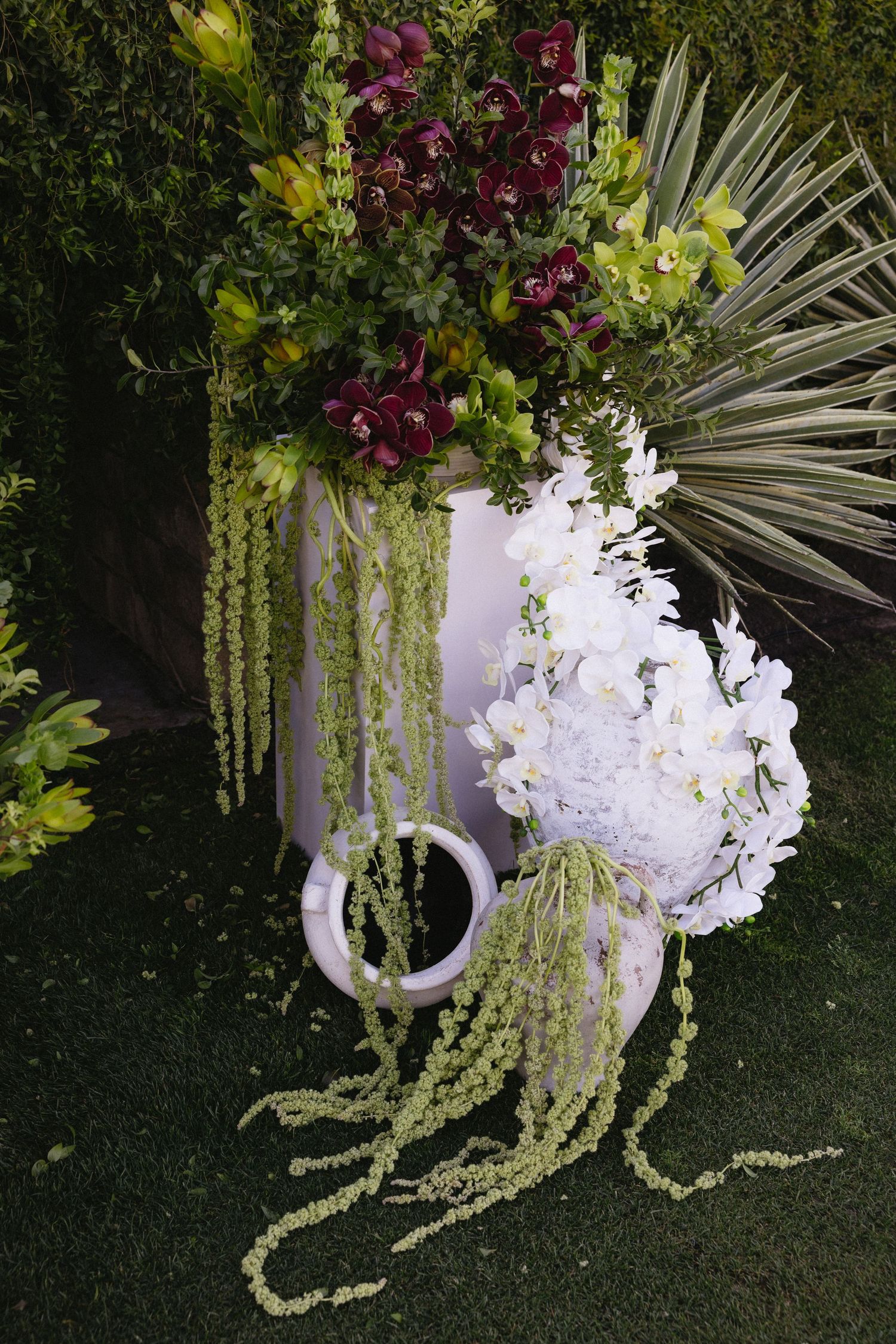 Elegant floral arrangement with white orchids, burgundy blooms, and cascading green amaranthus on a grass backdrop.