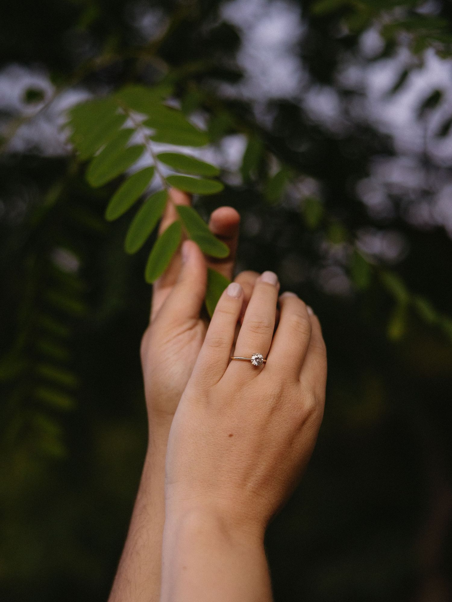 Close-up of hands wearing an engagement ring against a dark natural background.