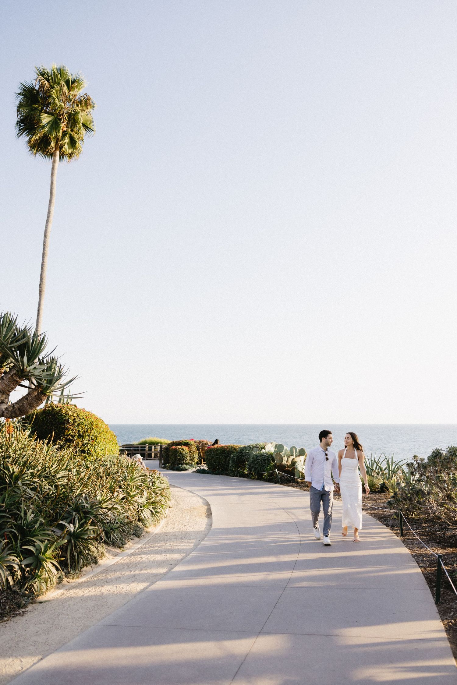 A scenic coastal pathway with palm trees and ocean views during golden hour.