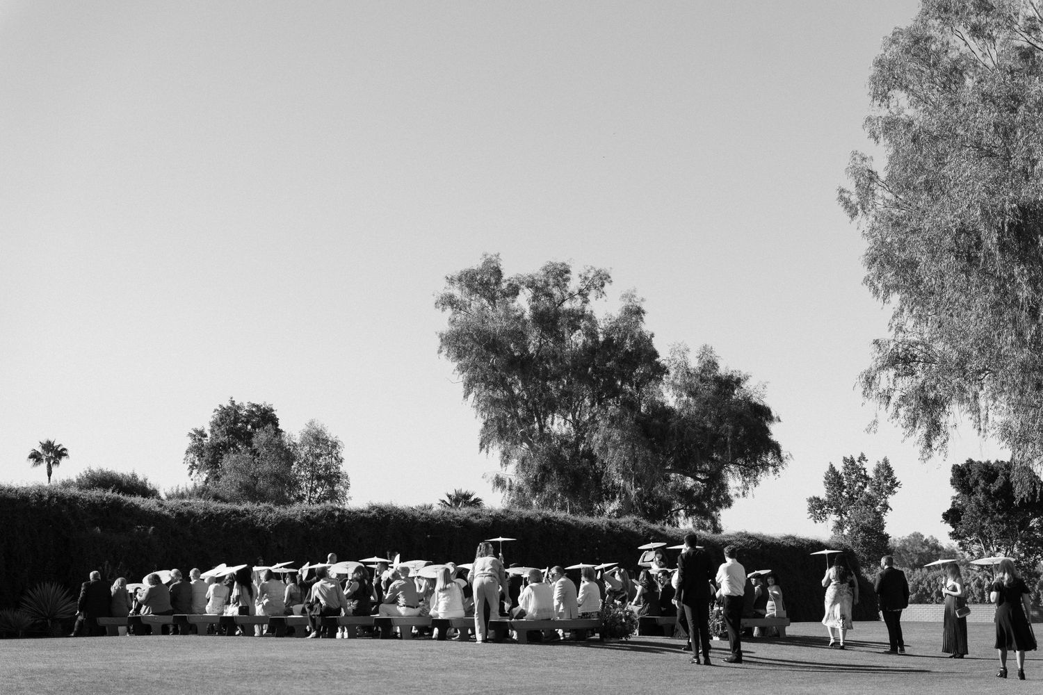 Black and white photo of golf carts lined up on a lush course with guests gathered under trees.