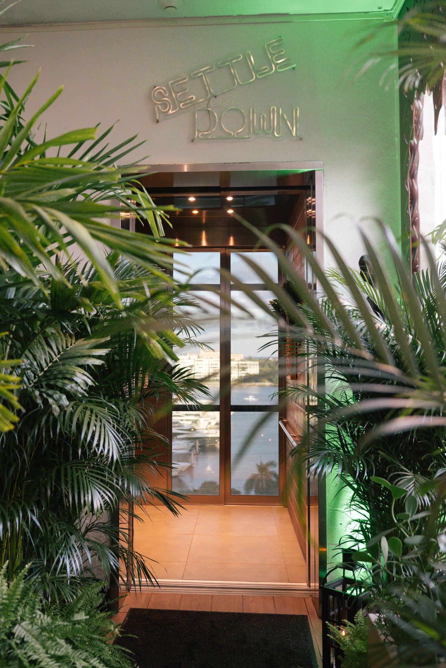Tropical palm plants frame a modern interior space with green accent lighting and wooden furnishings.