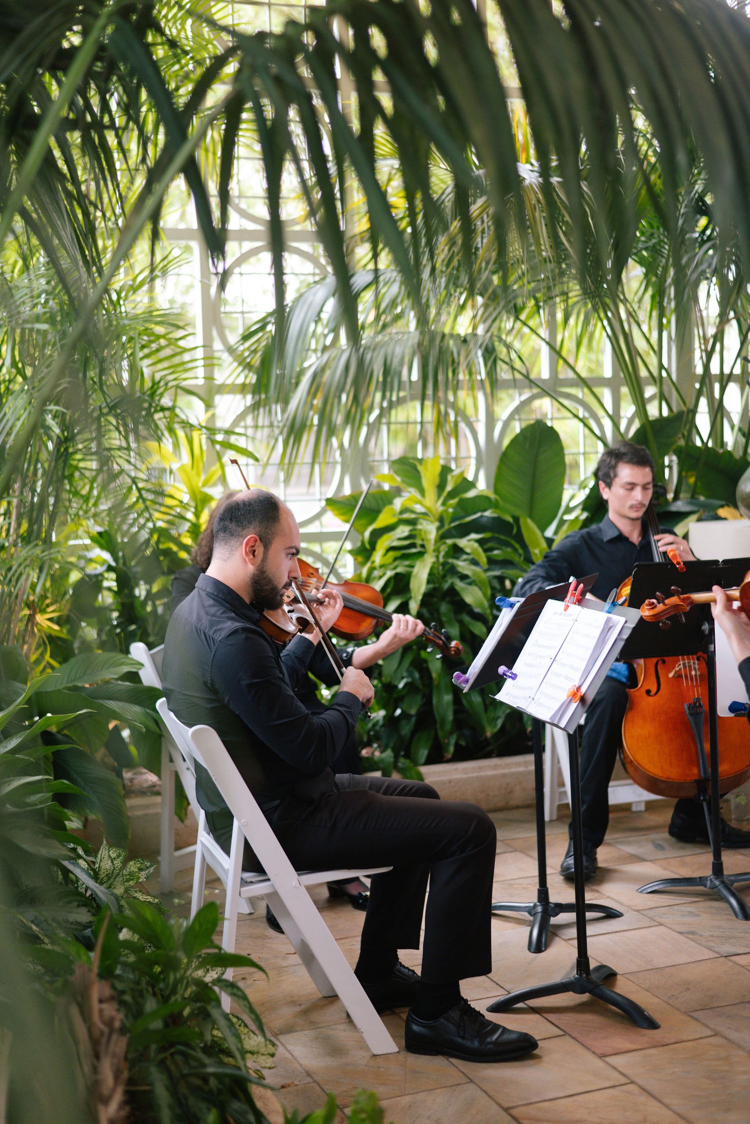String musicians performing at a wedding surrounded by tropical plants.