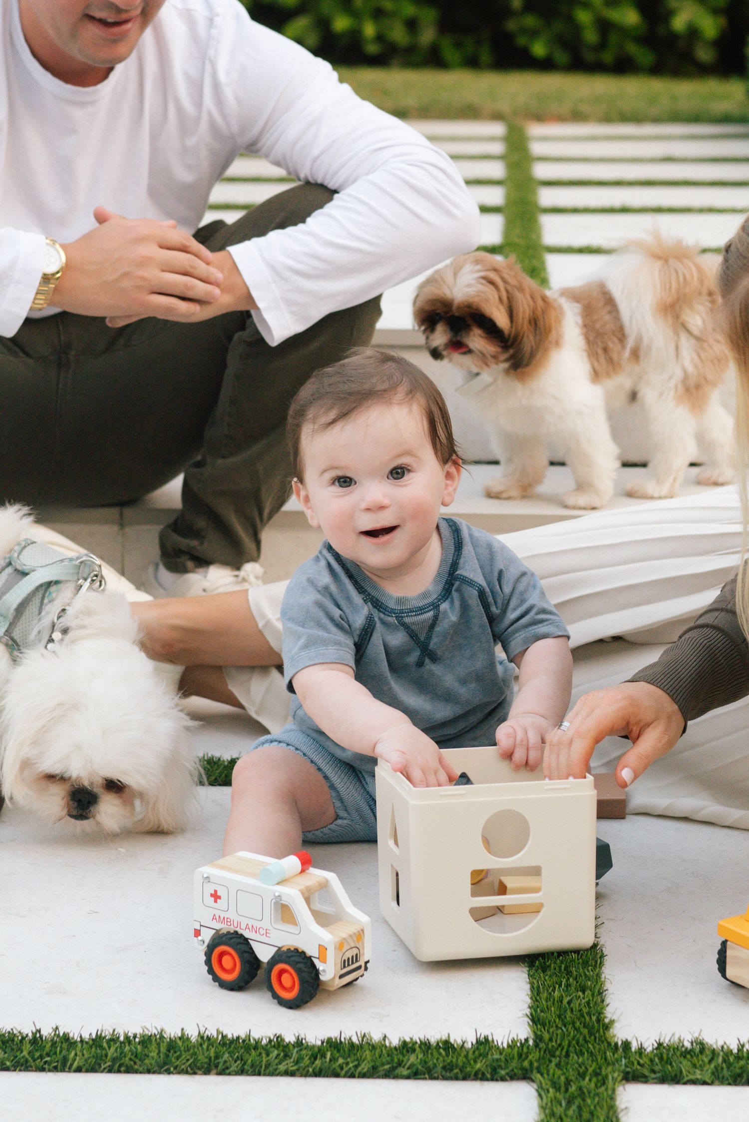 Baby playing with wooden toys and toy ambulance on blanket outdoors with small dogs nearby.