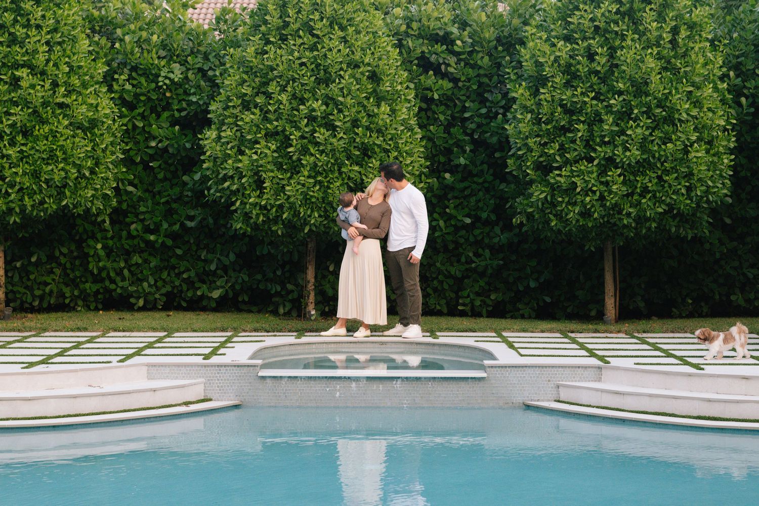 A modern swimming pool surrounded by lush green hedges and landscaping creates a tranquil backyard oasis.