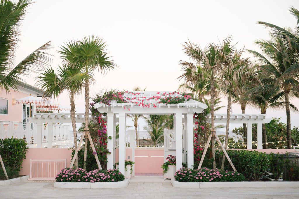 Elegant white pergola and palm trees create a tropical entrance to a pink beachside venue.