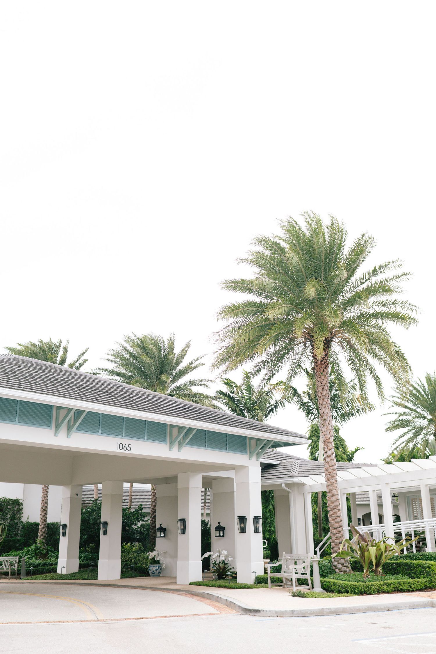Tropical resort entrance with white columns and palm trees creating an elegant facade.
