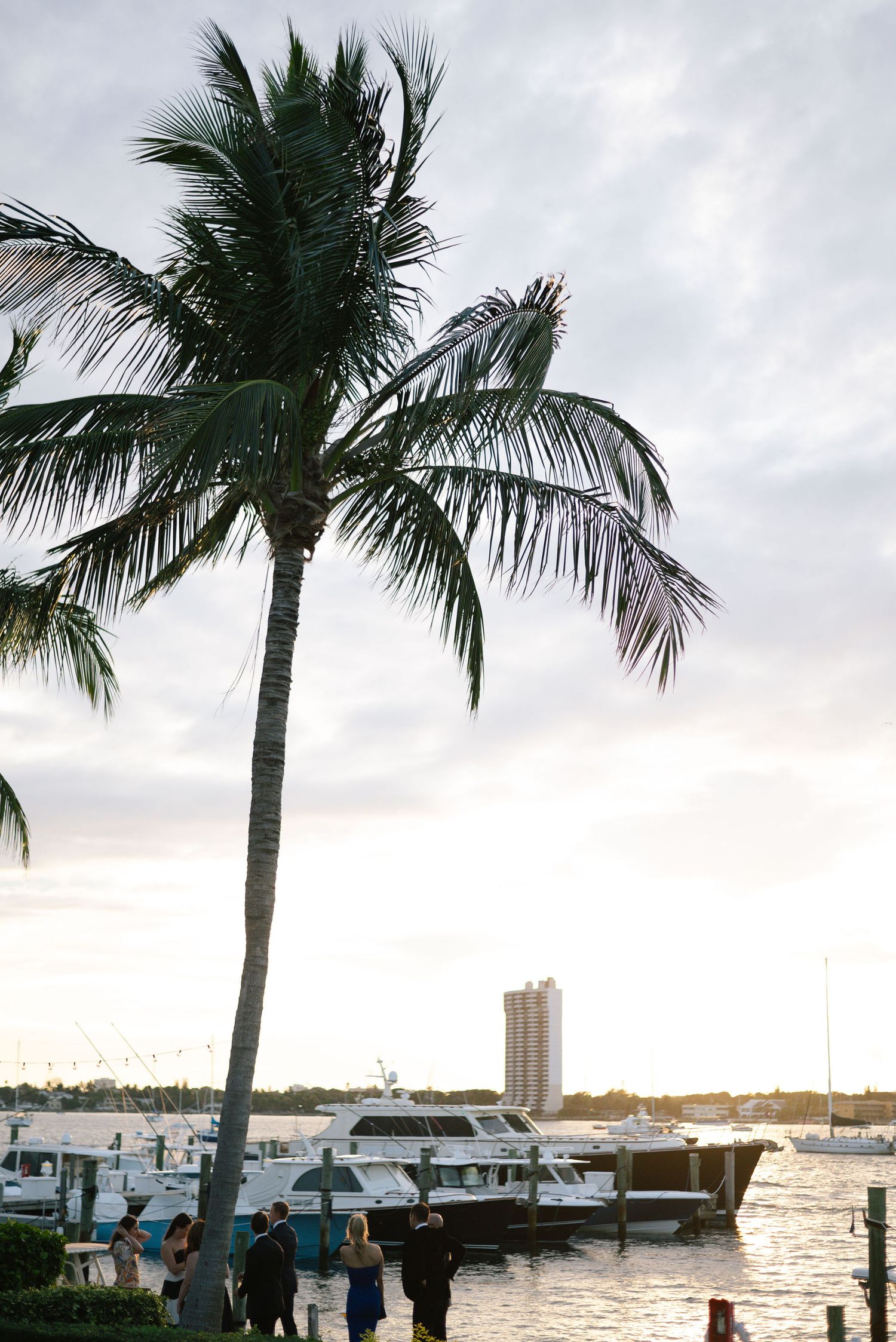 Palm trees sway against cloudy sky with boats docked in marina during sunset.