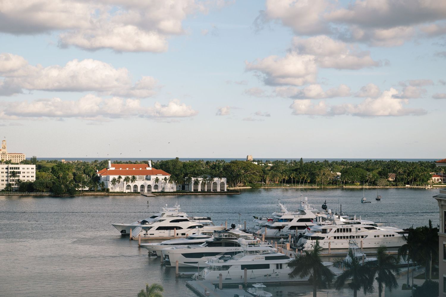 Luxury yachts docked at a waterfront marina with coastal buildings in the background.