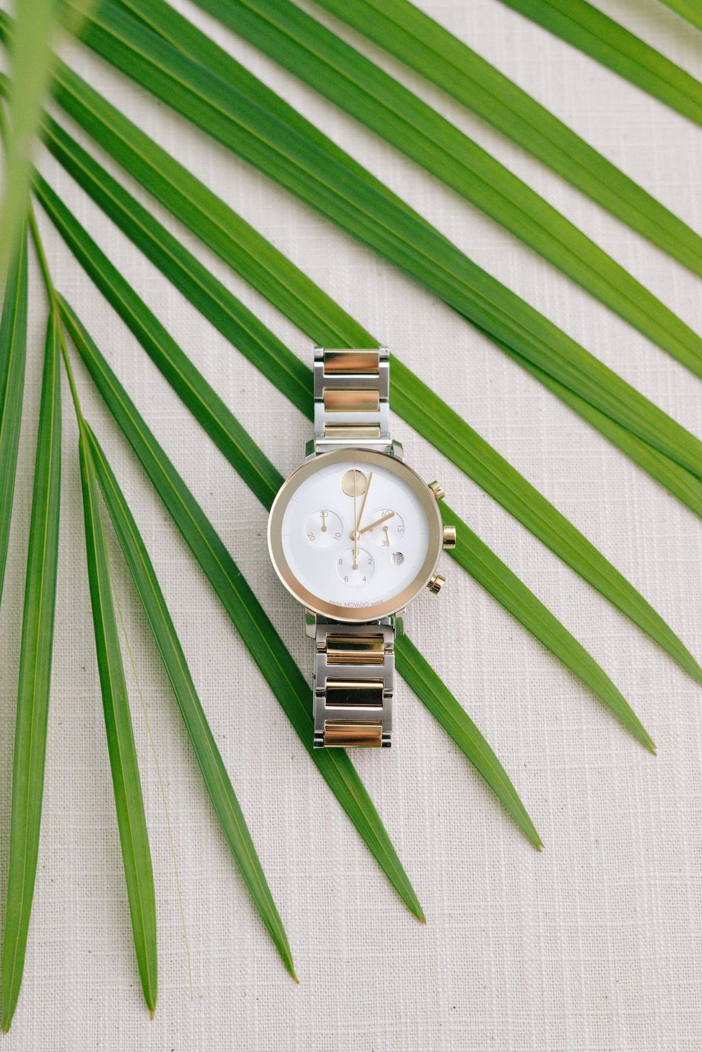 Silver and gold watches displayed with green palm fronds on white surface.