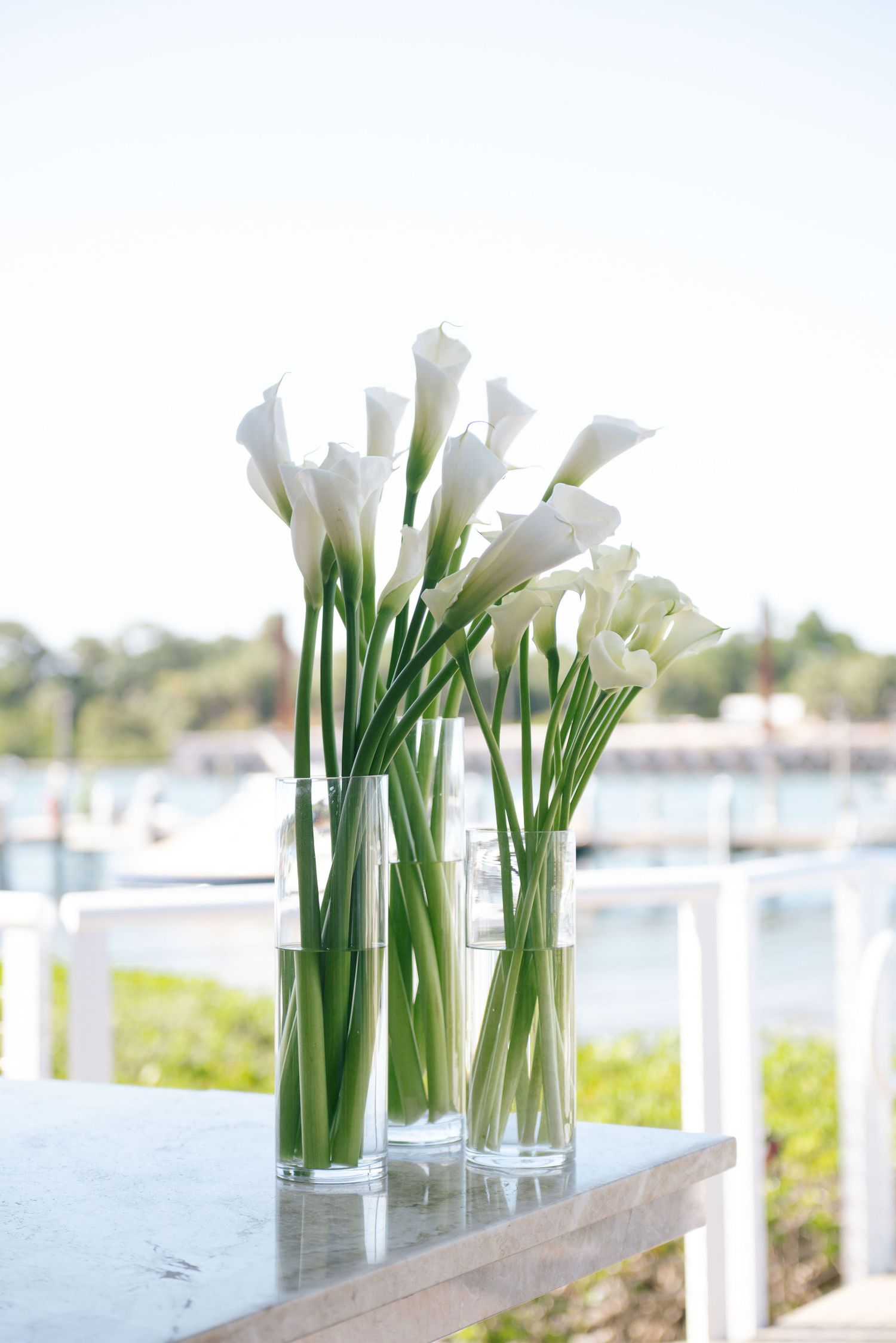 Elegant white calla lilies arranged in glass vases along a waterfront venue setting.