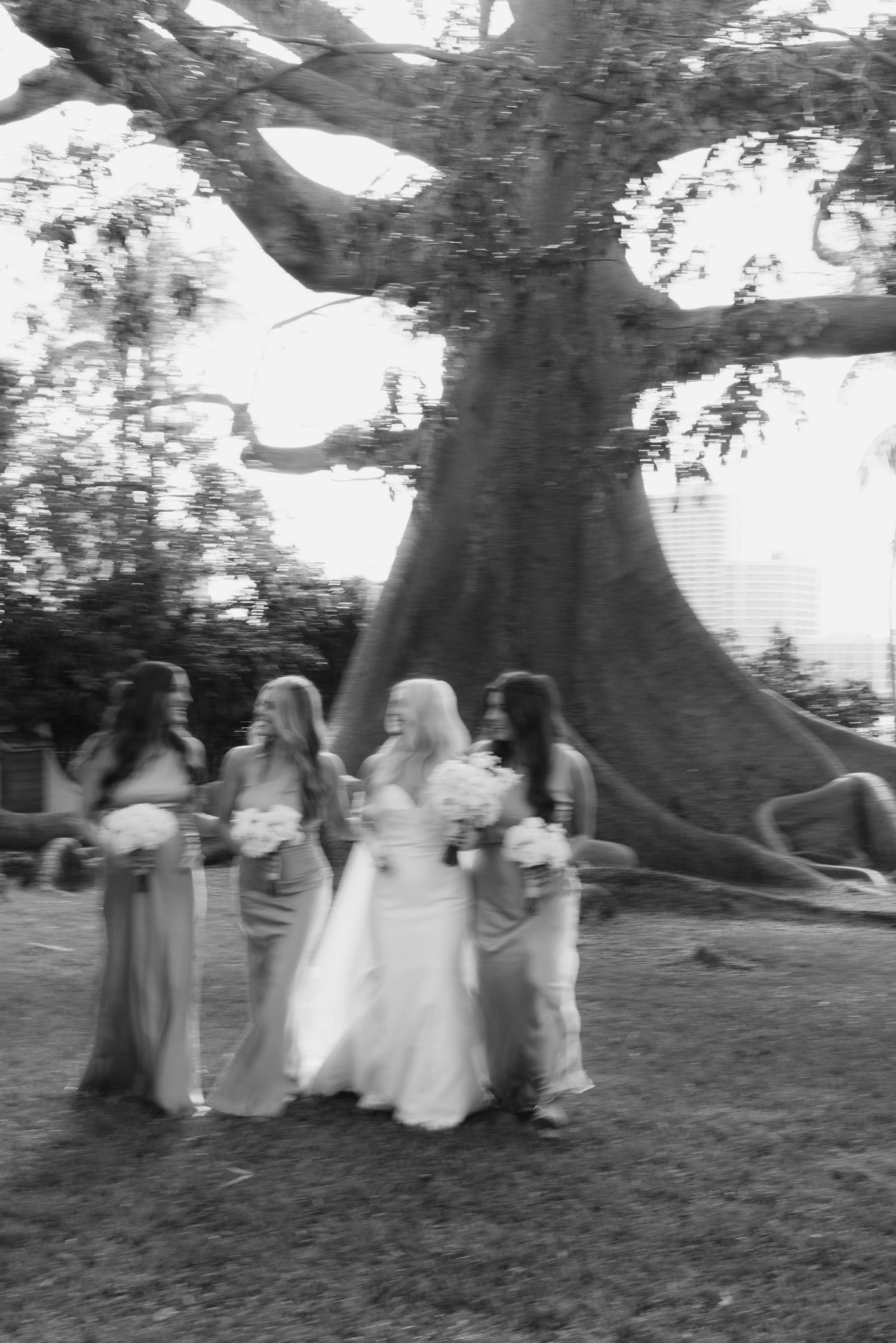 Black and white photo of bridesmaids walking together under large trees.