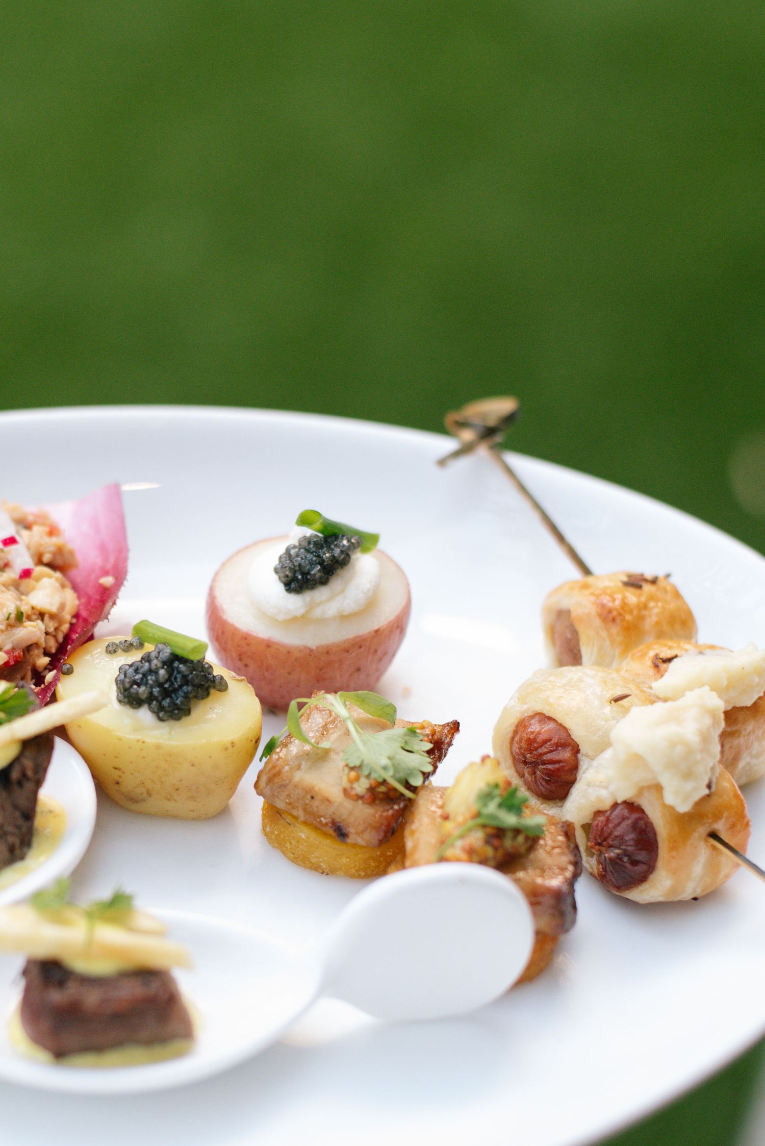 Elegant catering display of small appetizers and hors d'oeuvres on white plates against green background.