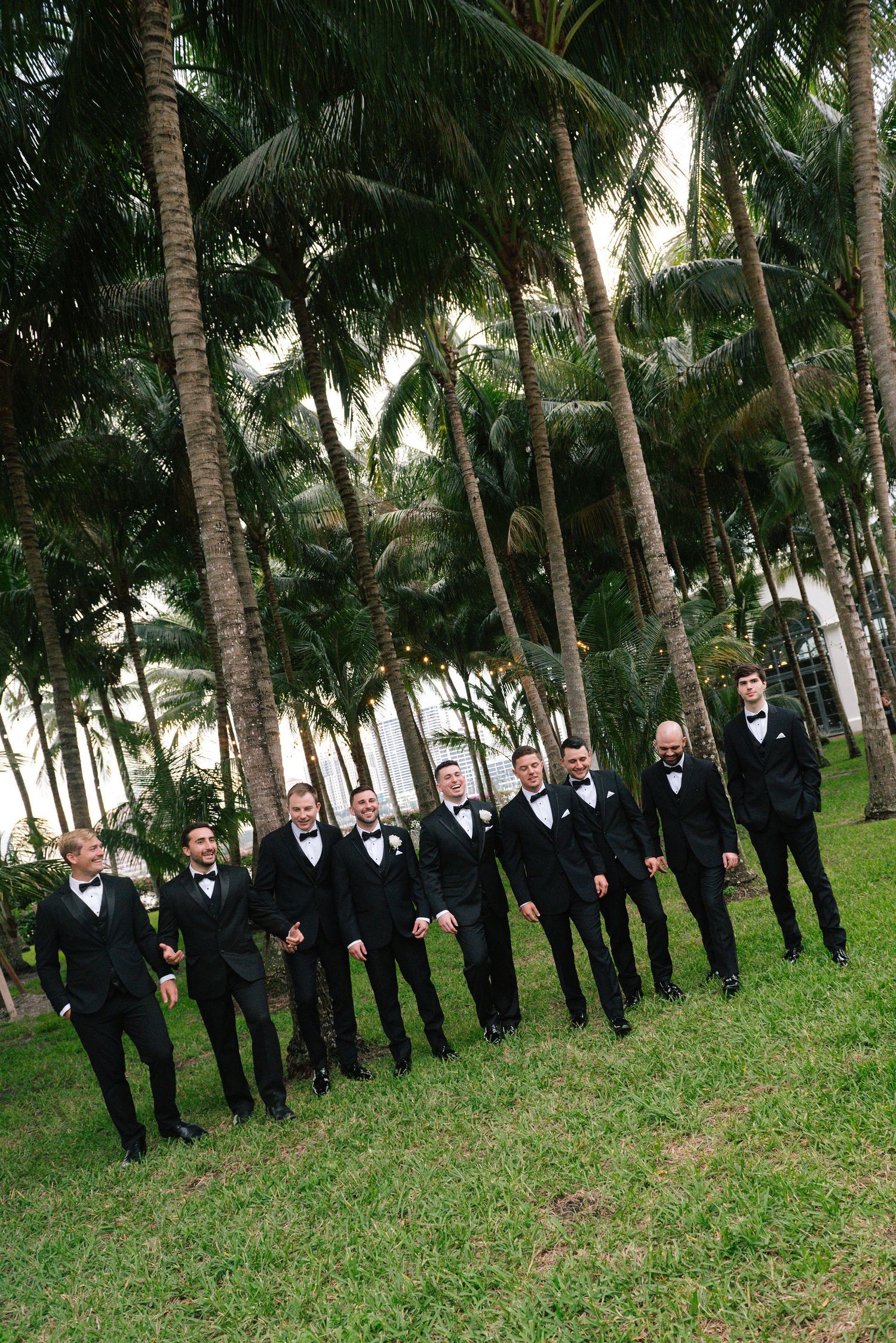 Groomsmen in black tuxedos line up among tropical palm trees.