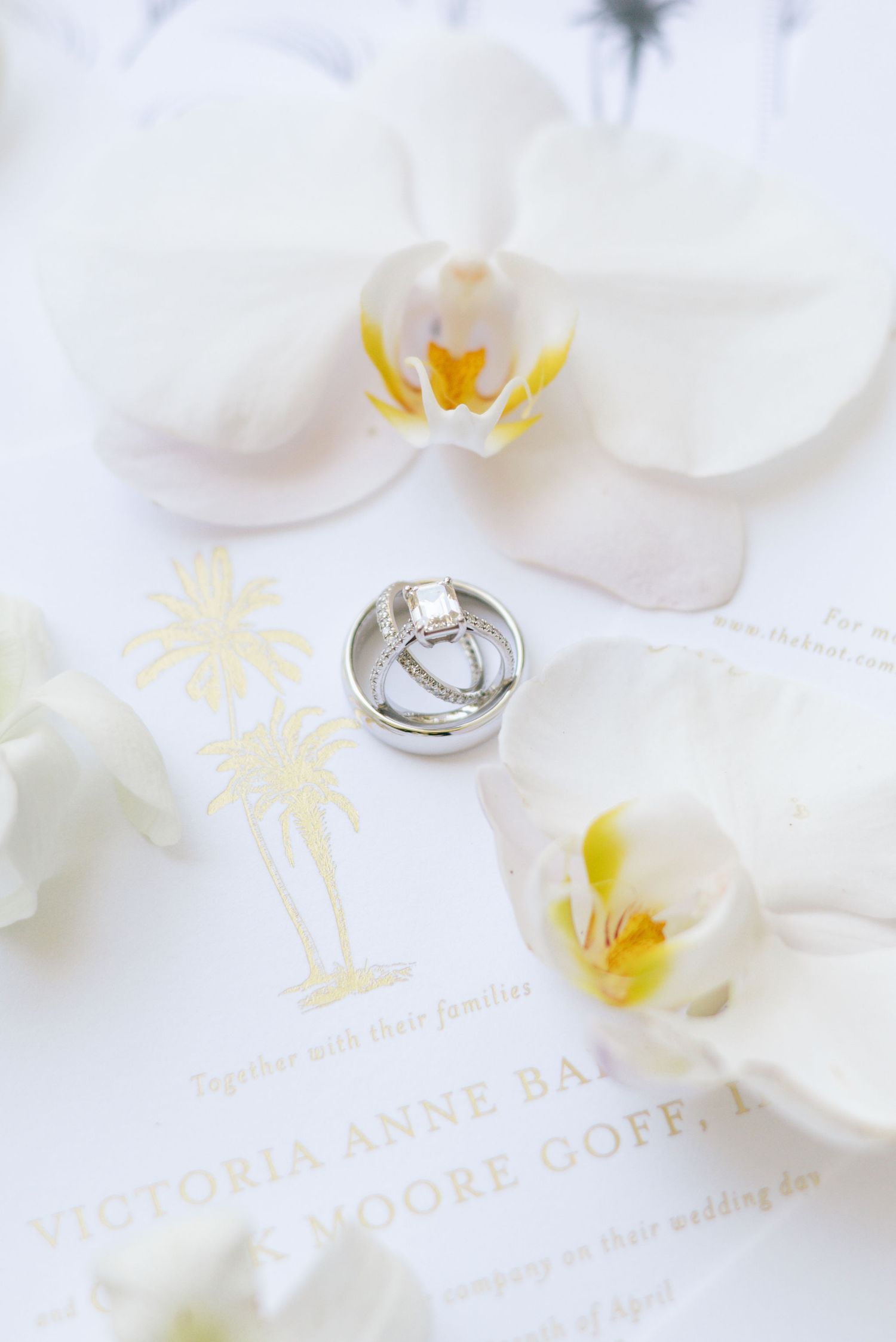 Wedding rings photographed with white orchids and invitation details.
