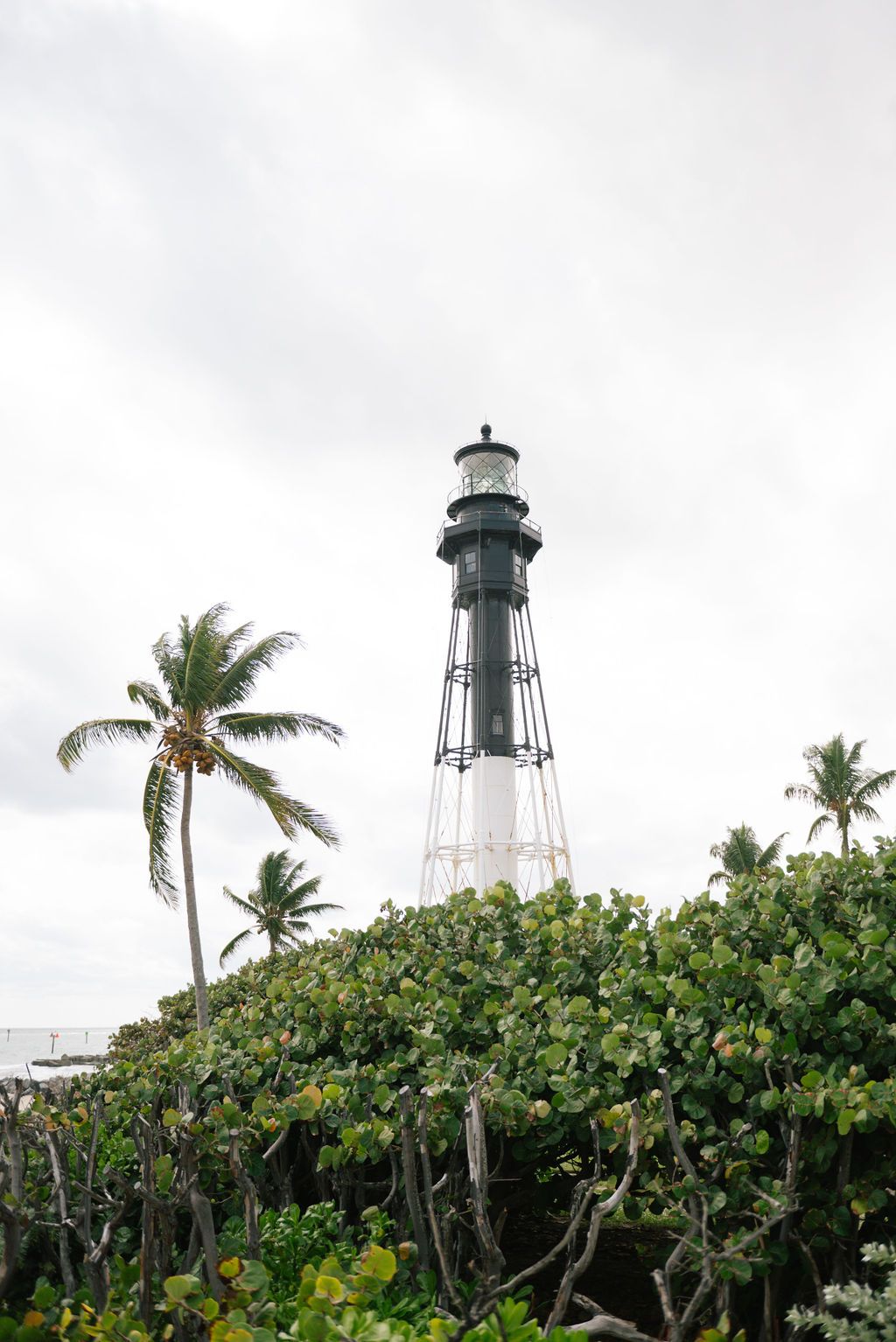 Historic lighthouse tower rises above lush tropical foliage and palm trees against cloudy sky.