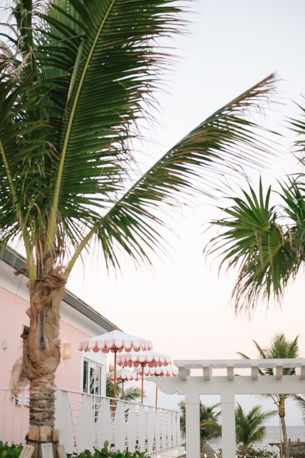 Palm trees frame a pink coastal building with white umbrellas and string lights.