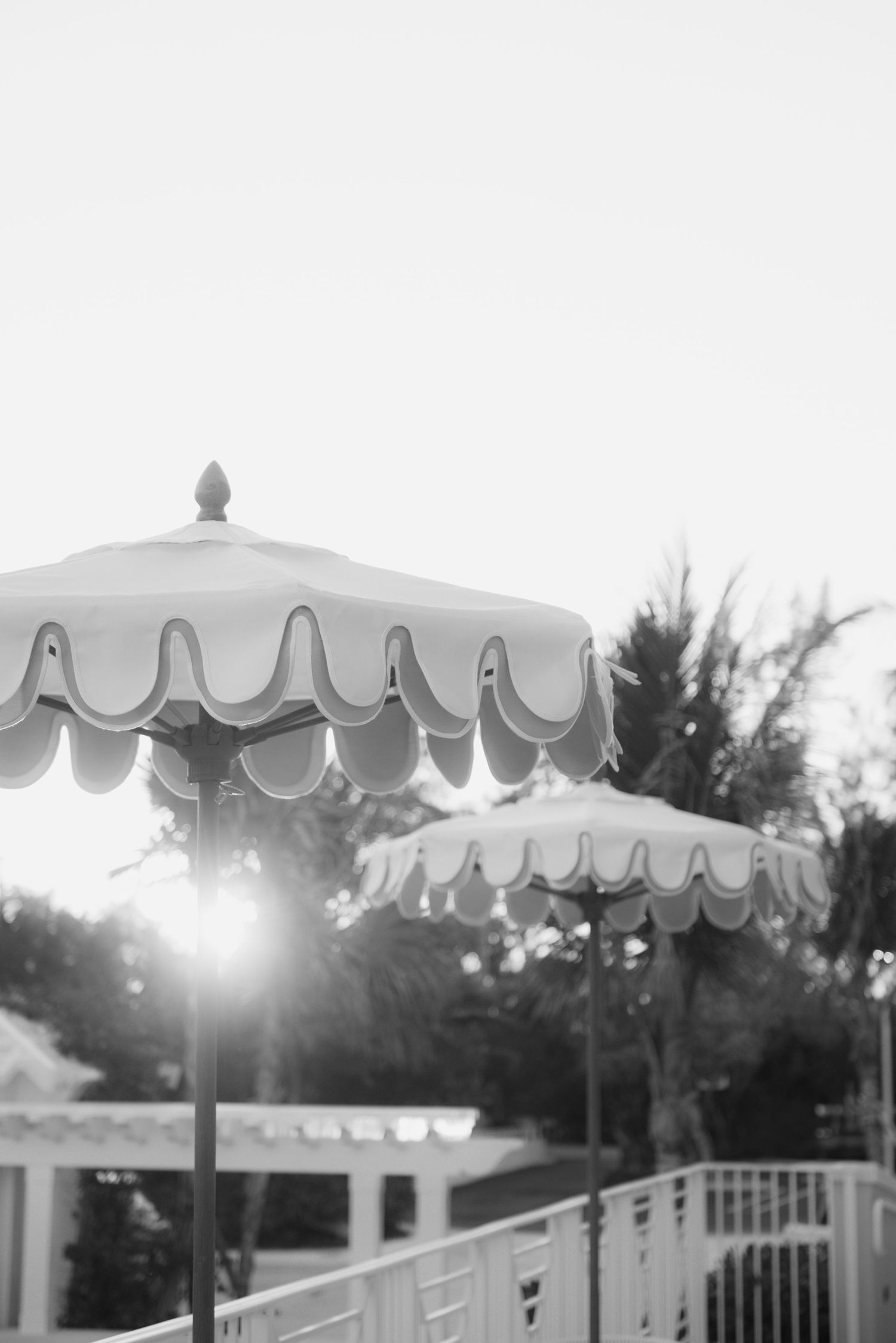 A row of white decorative patio umbrellas with scalloped edges line an outdoor deck at sunset.